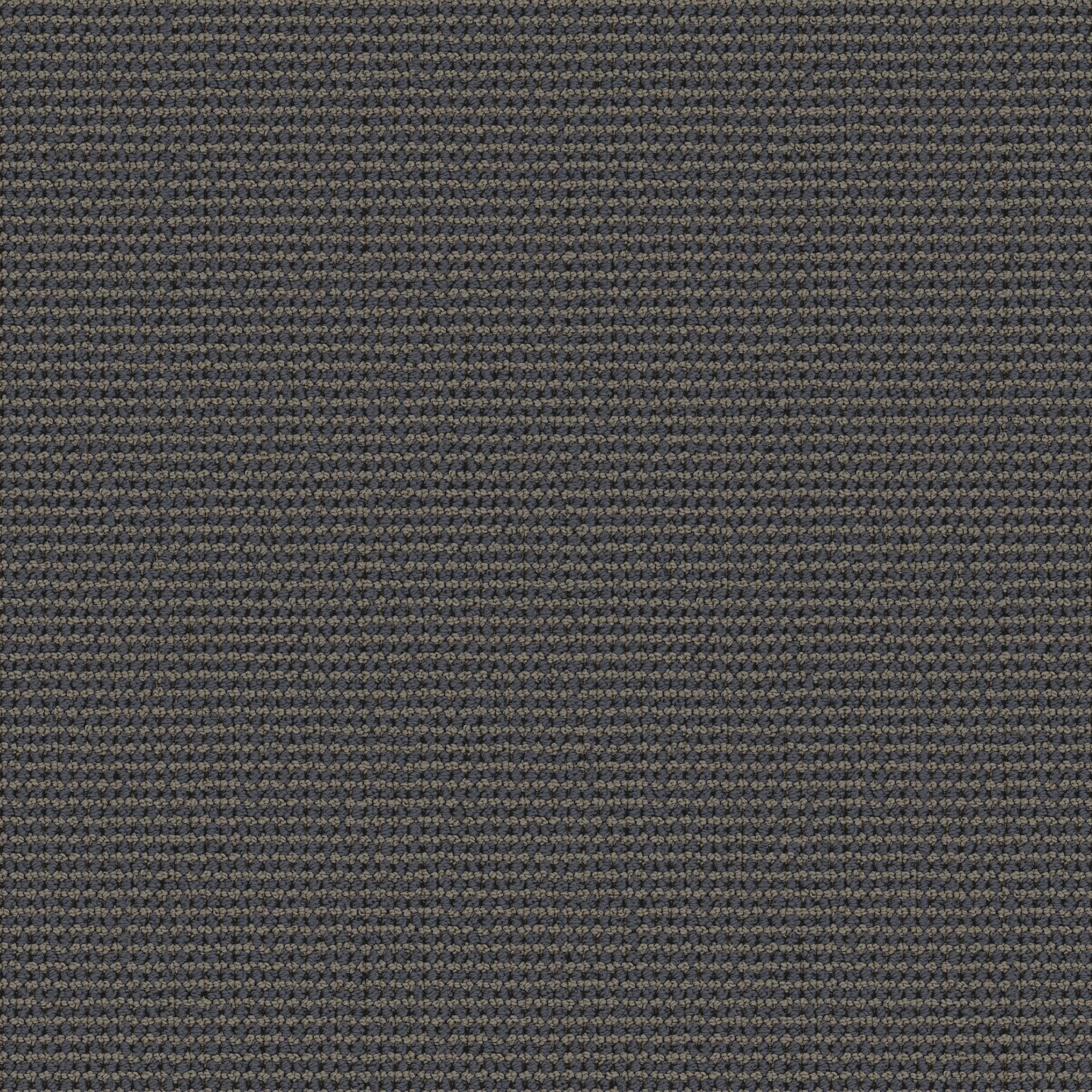 sun-kissed-experience-the-warmth-and-beauty-of-texture-broadloom-carpet-flooring