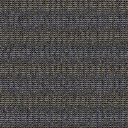 Sun Kissed: Experience the Warmth and Beauty of Texture Broadloom Carpet Flooring sun-kissed-experience-the-warmth-and-beauty-of-texture-broadloom-carpet-flooring