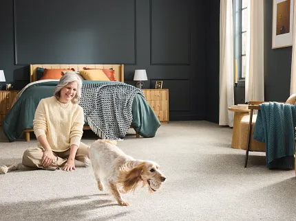 Durable carpet flooring for a cozy and comfortable bedroom setting with playful dog Cozy bedroom with durable carpet flooring, featuring a playful dog and a comfortable setting for everyday lifestyle and comfort of the home