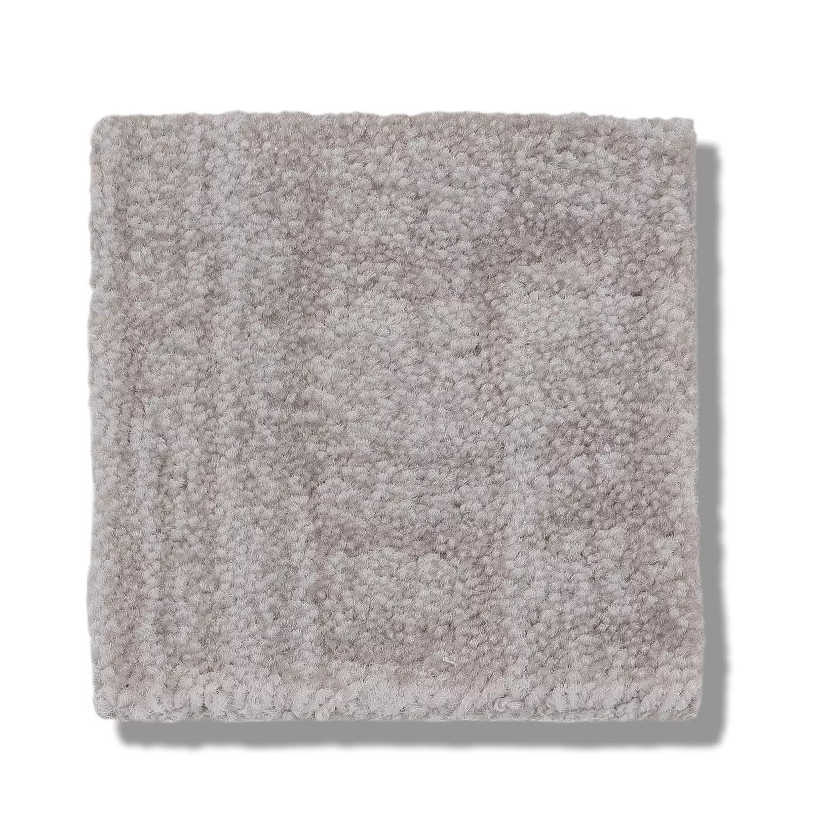 INSIGHTFUL JOURNEY COLD WINTER SWATCH