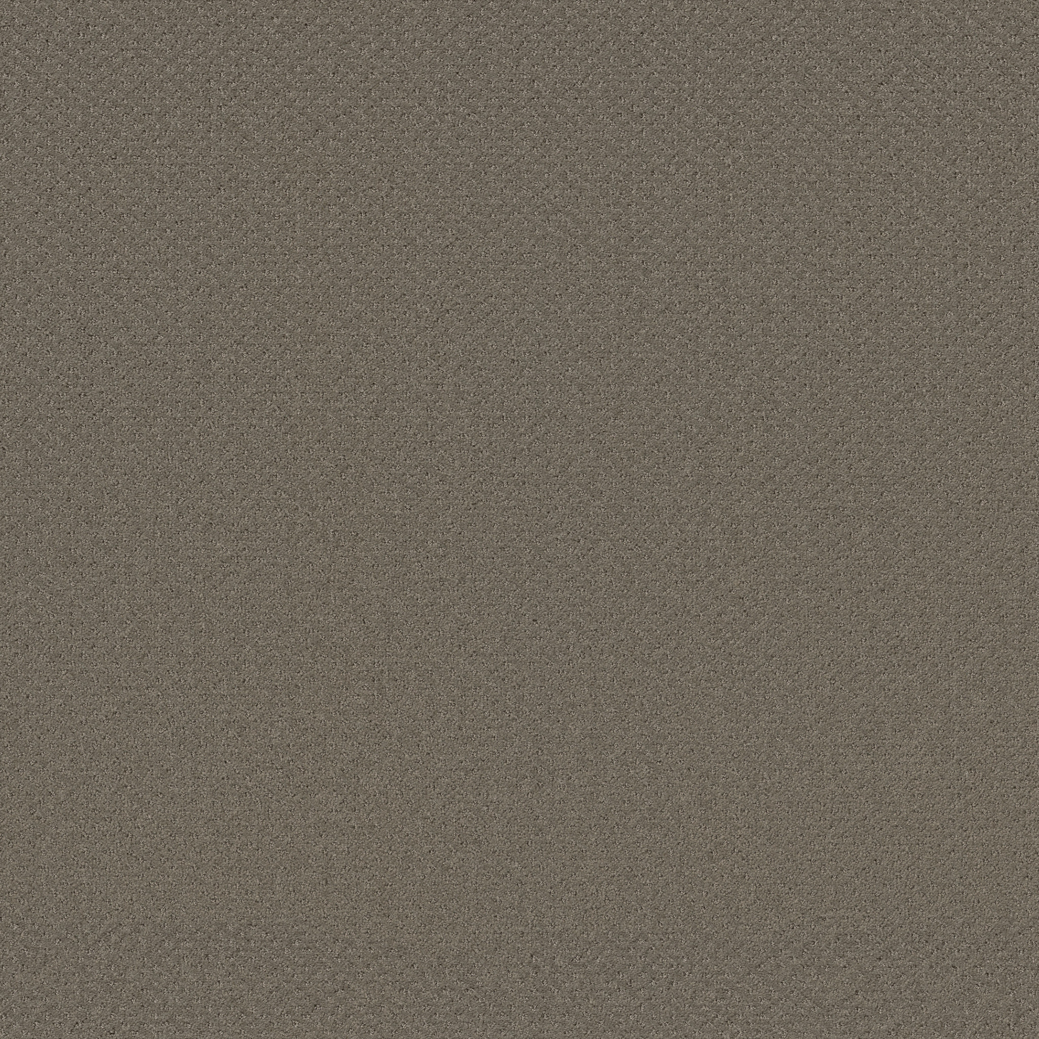 INFALLIBLE INSTINCT ABBEY STONE MAIN