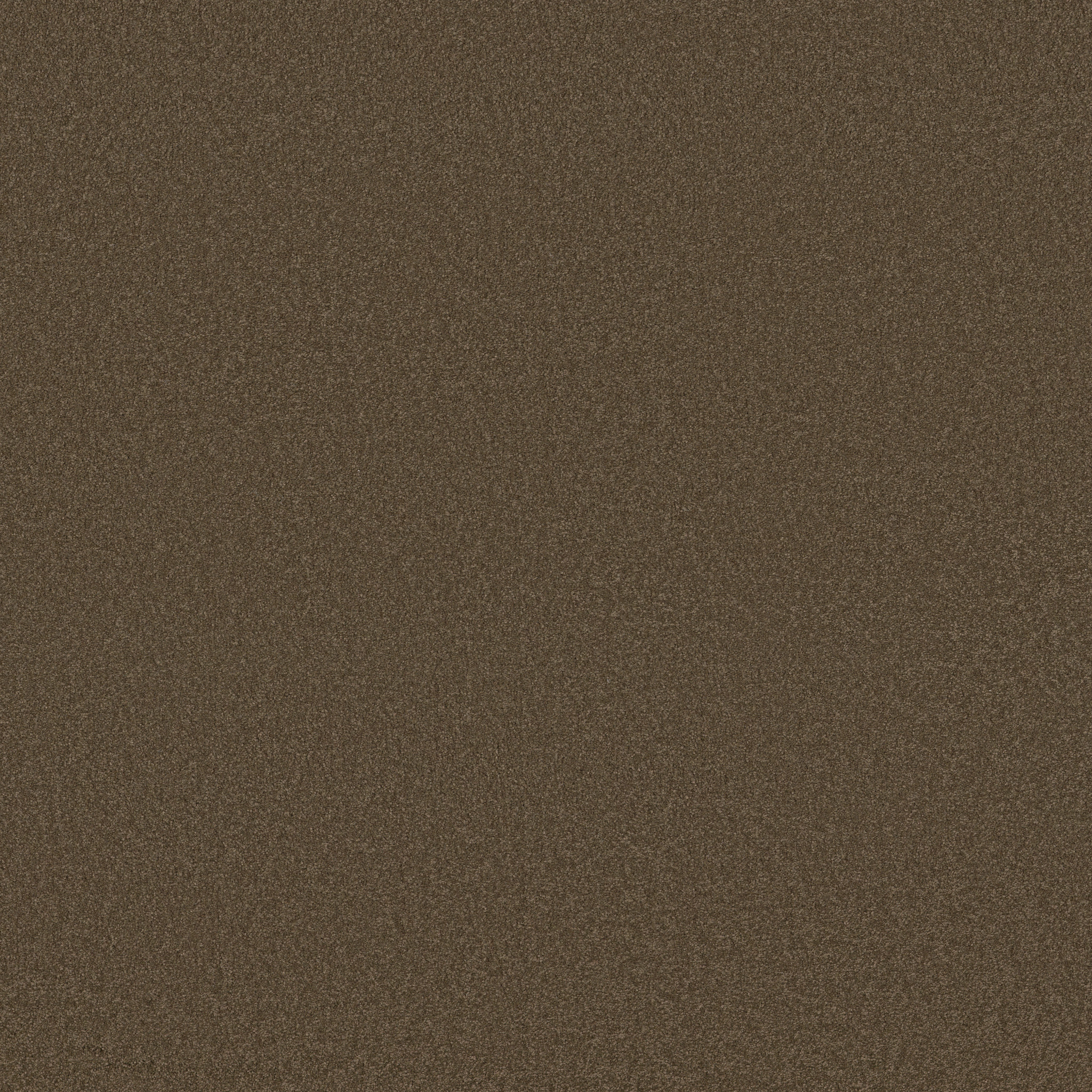 SHINGLE CREEK IV 12' WOODEN BOX MAIN