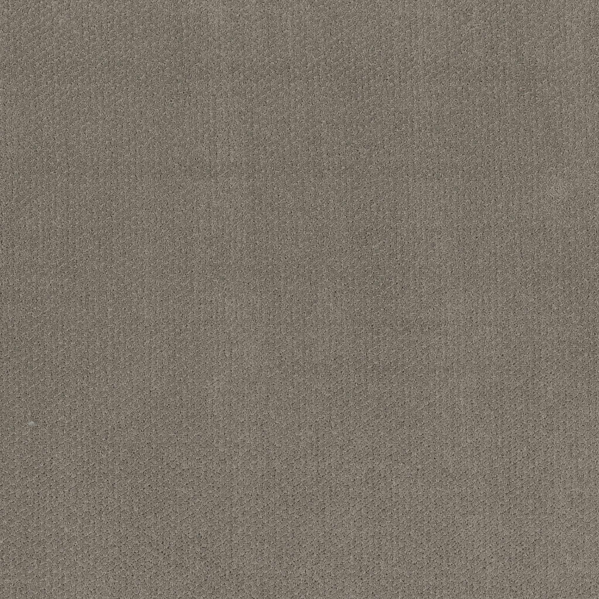 SIMPLY CLASSIC ASHES MAIN