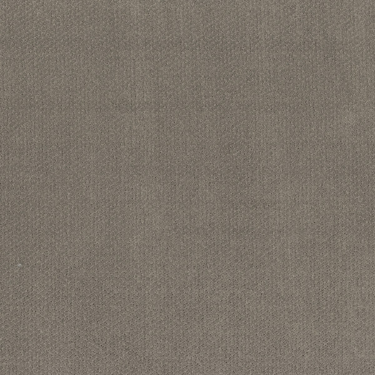 Shaw Floors SIMPLY CLASSIC — ASHES