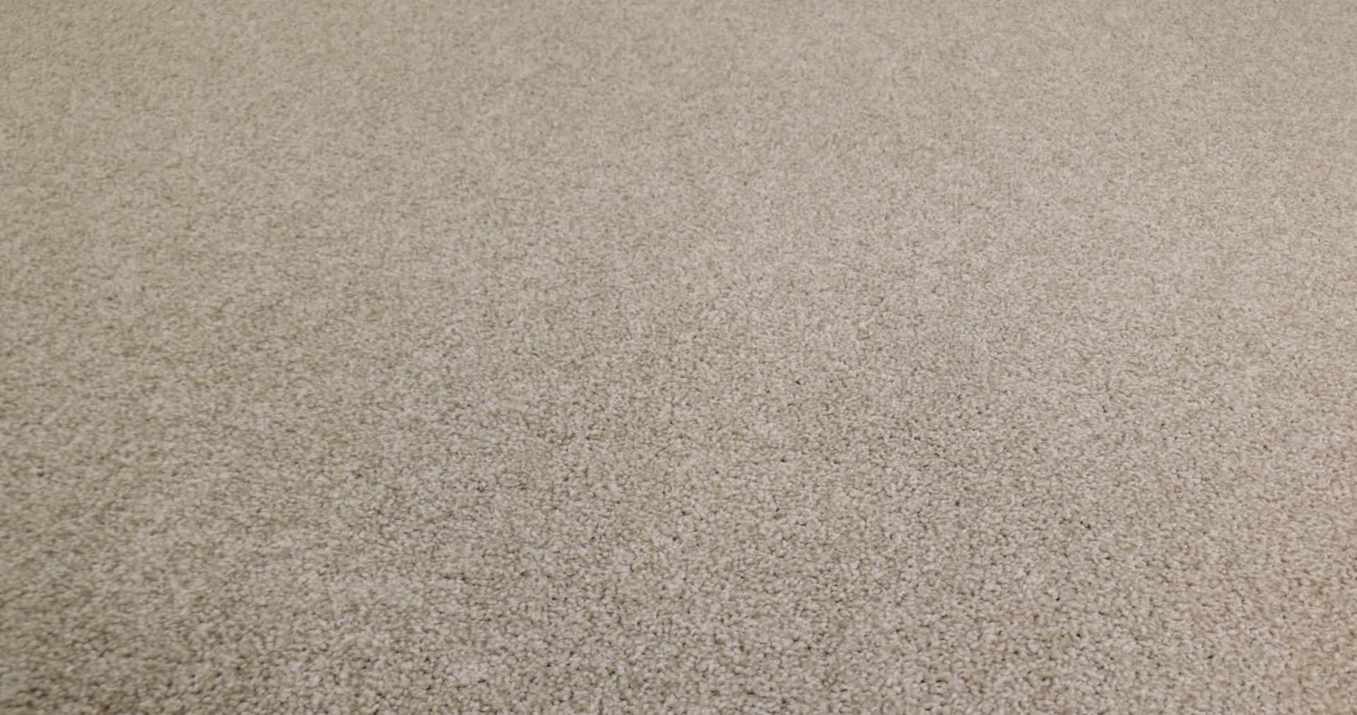 AG True Delight I FLAX 360PROD