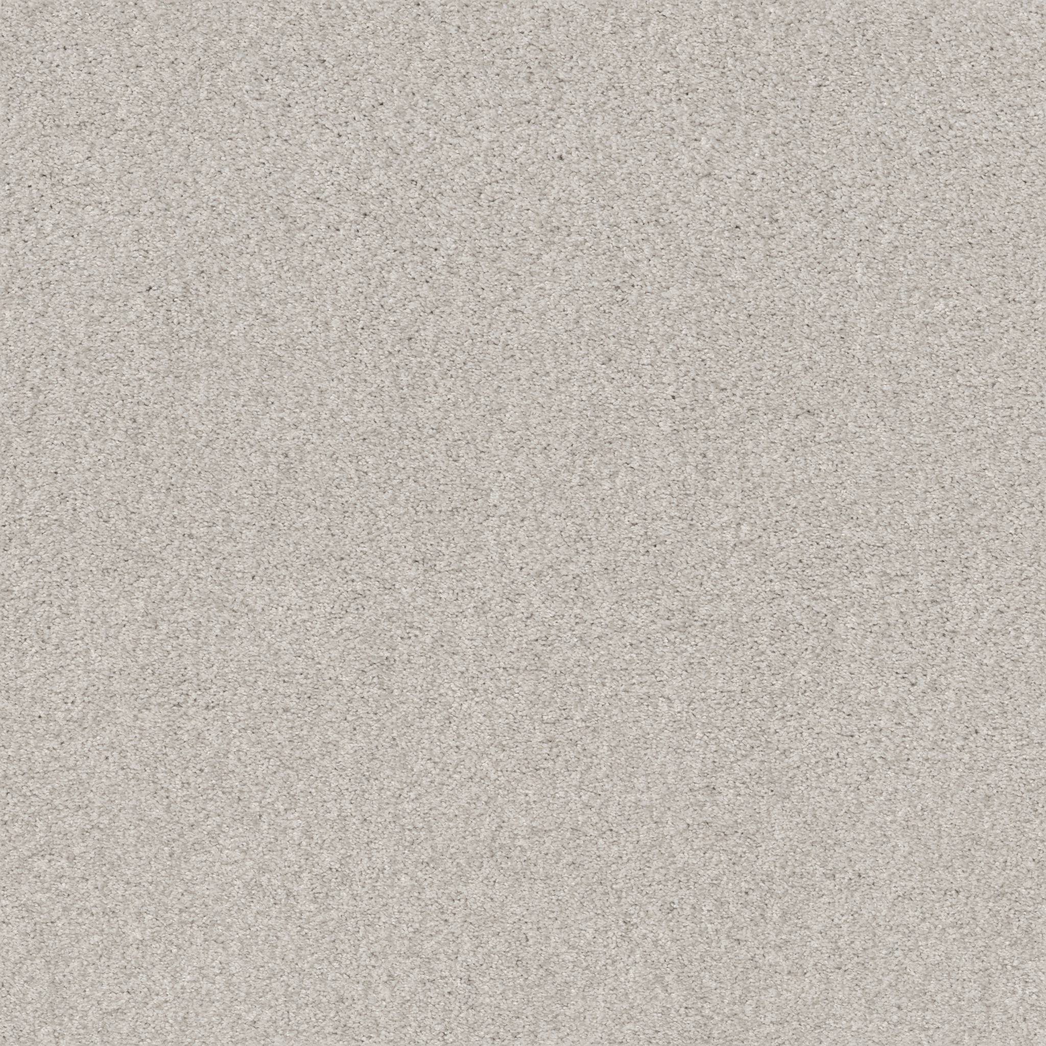 COZY HARBOR I FREE SPACE MAIN