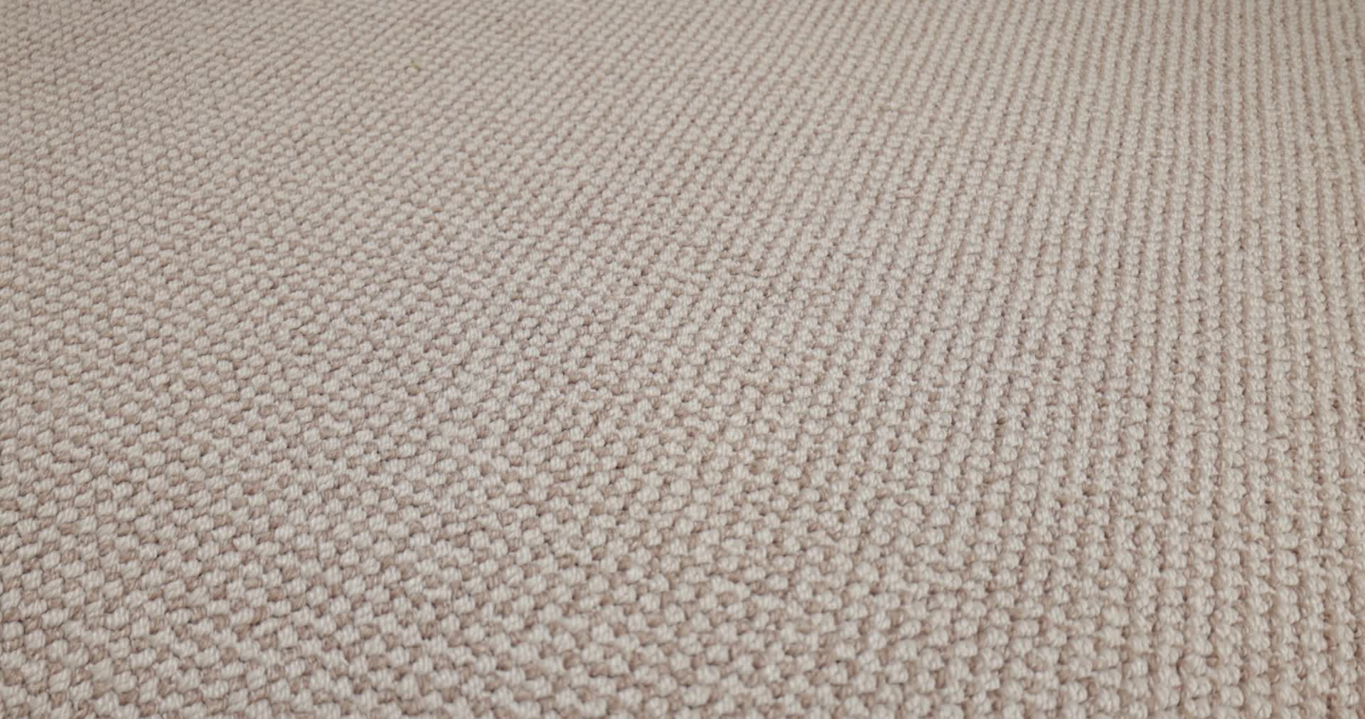 ALLURING BLOSSOM 360PROD