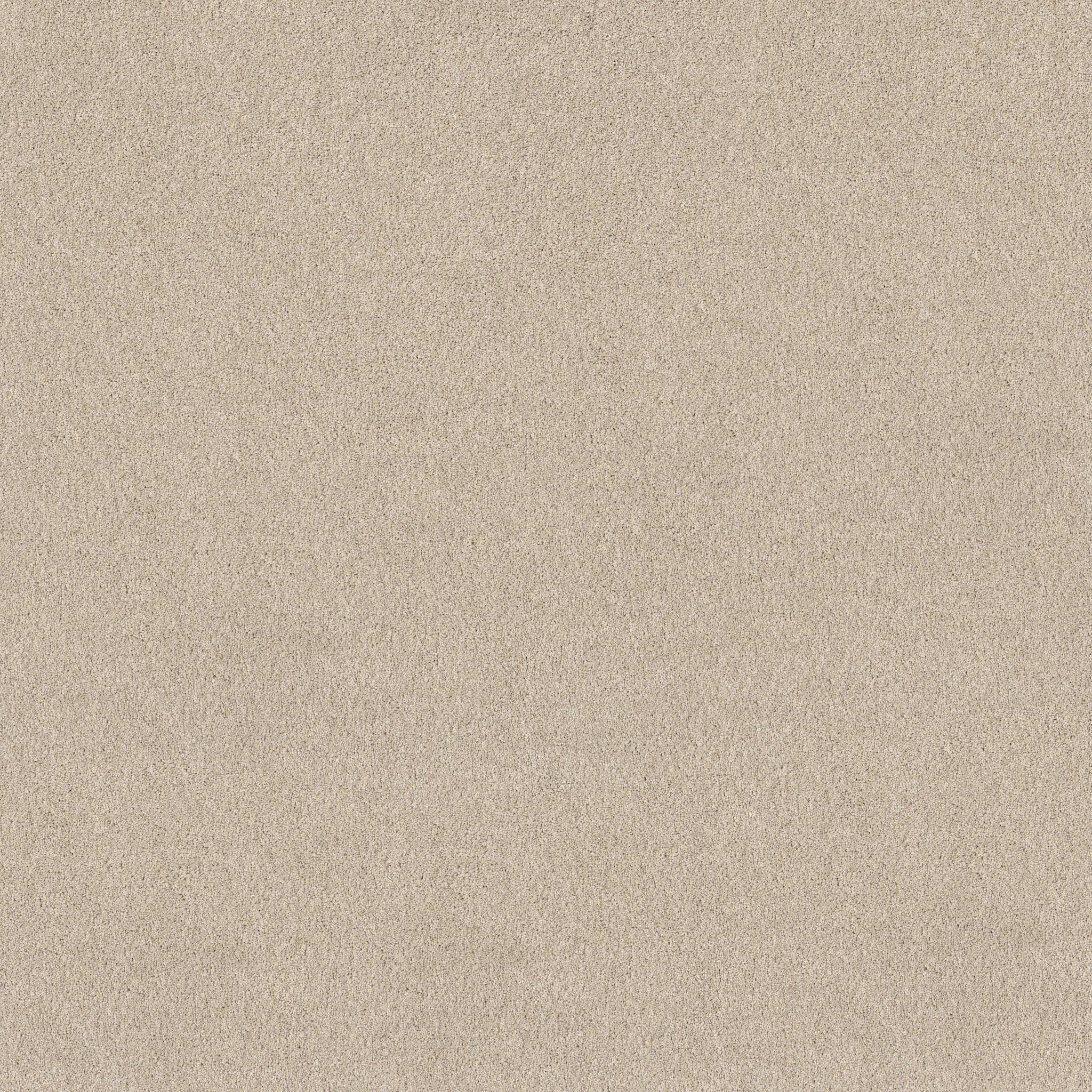 Pure Affection Tonal in Dune View