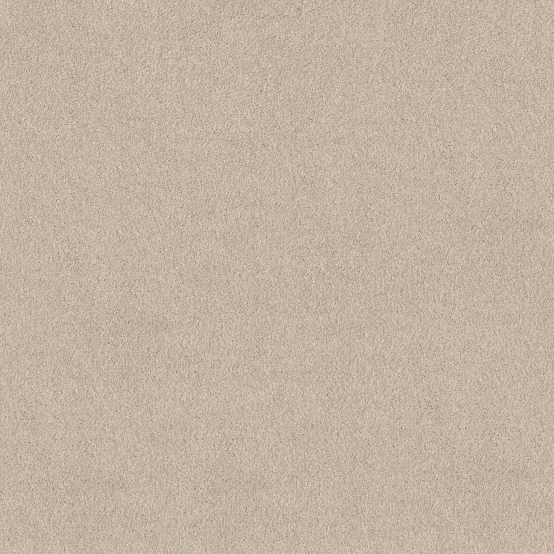 Pure Affection T 5E892 Broadloom Carpet in Shadows color, made from 100% PET Polyester, 12ft wide, 125ft roll length.
