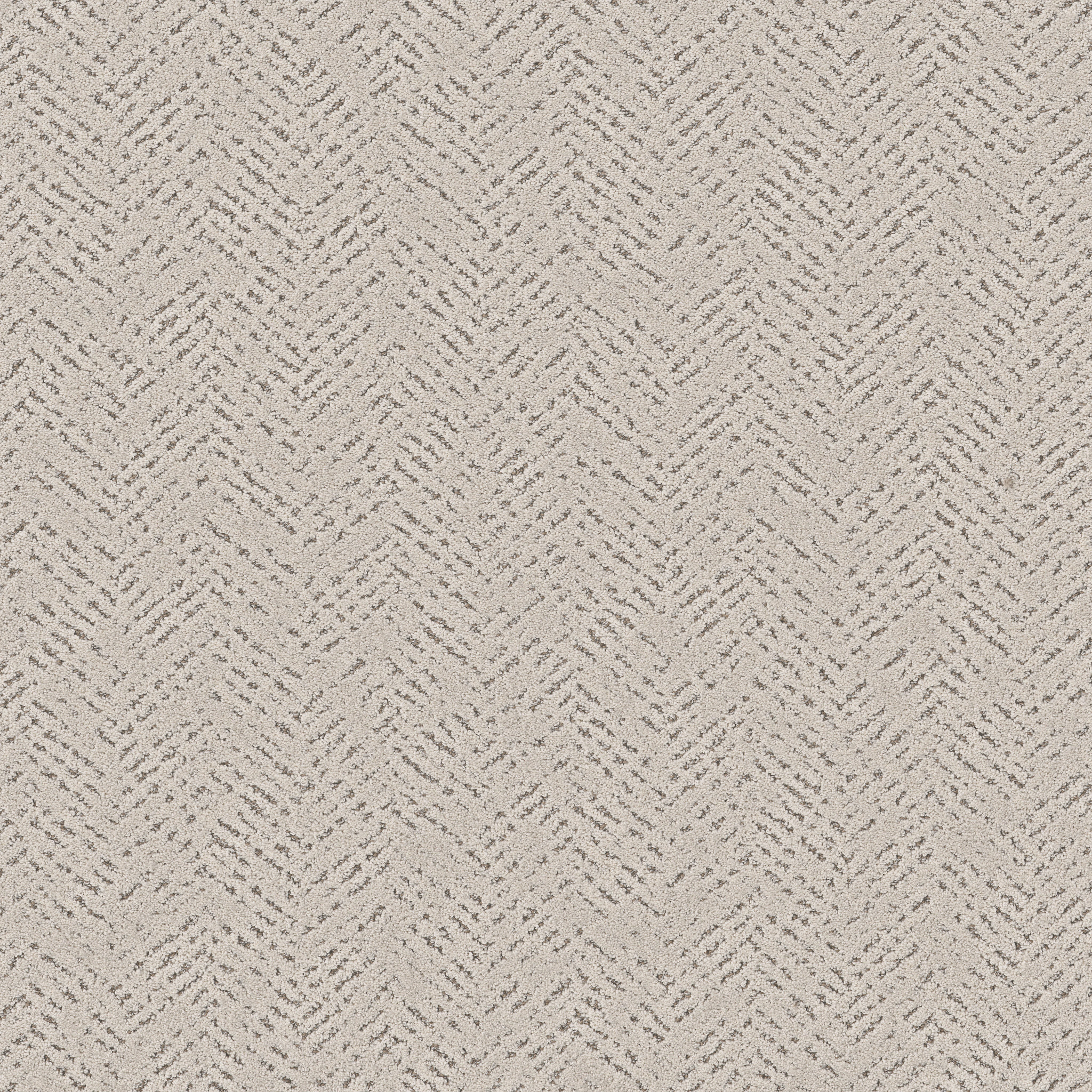 FAVOURED PATH ALMOND SILK MAIN