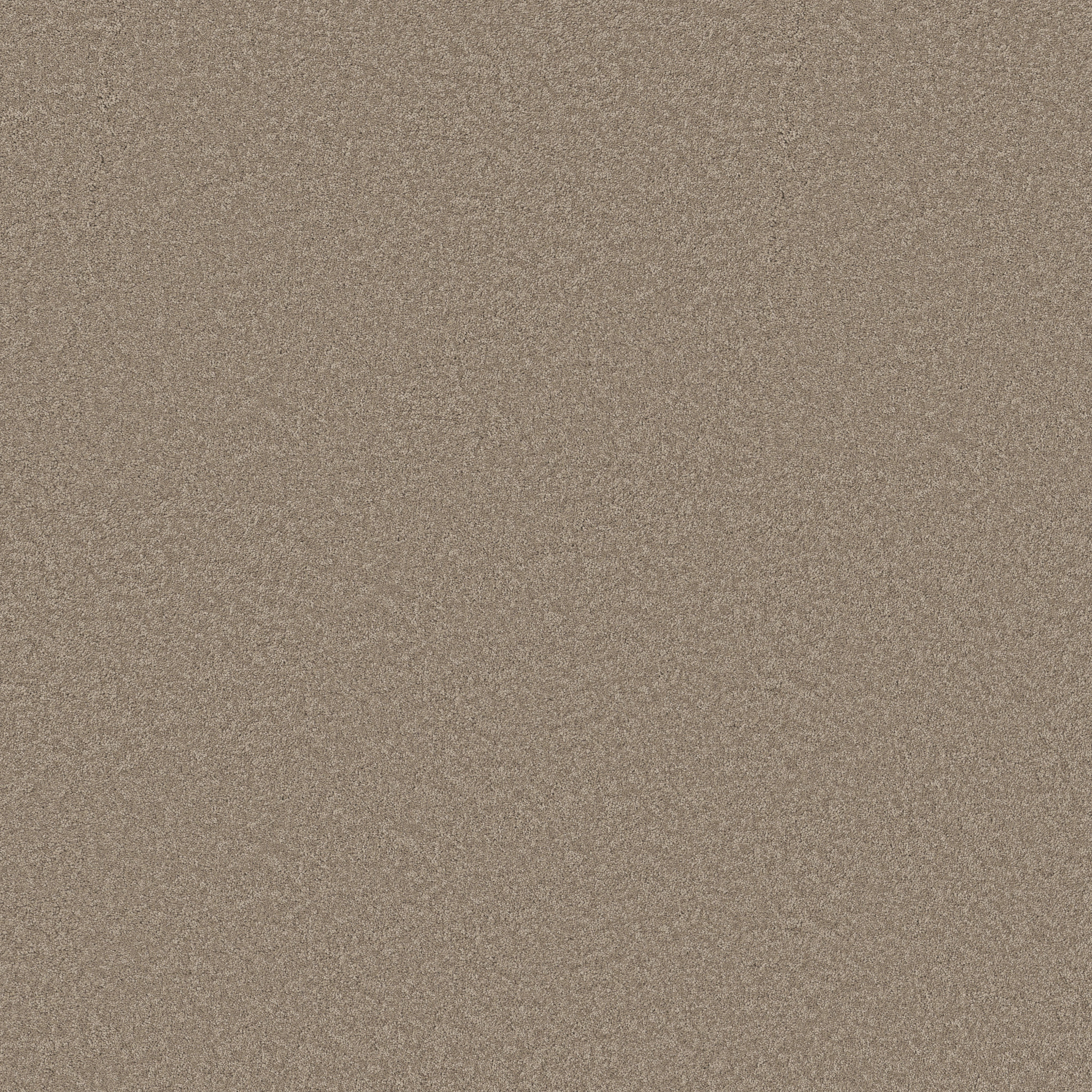 SMOOTH TONE BLUE LATTE MAIN