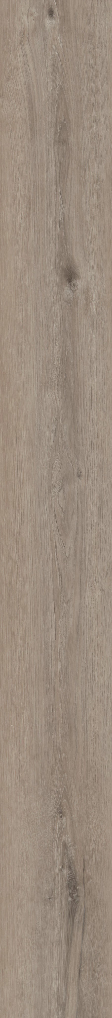 MALTESE QUARRY OAK 1TO1