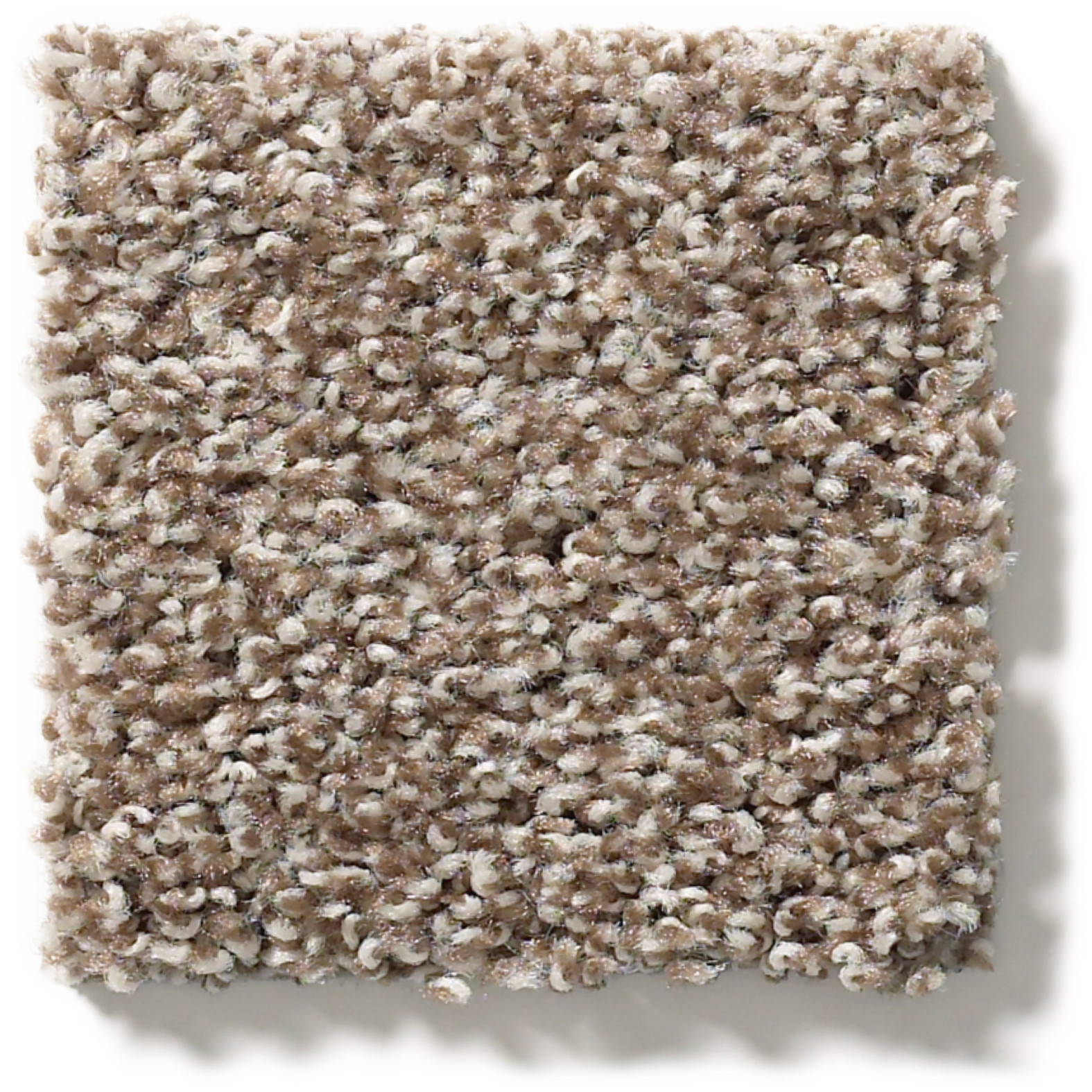 POISED BROWN SUGAR SWATCH