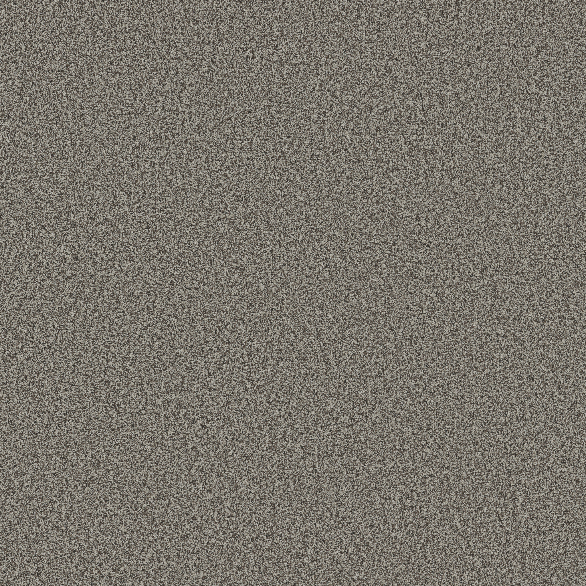 MIRA NOVA SABLE MAIN