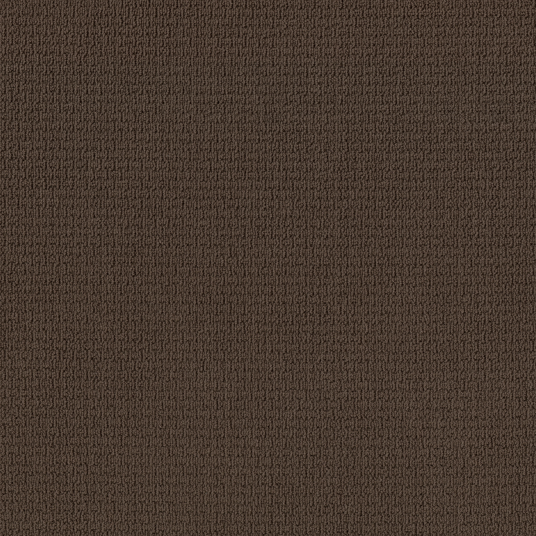 SAN SALVADOR KOLA NUT MAIN