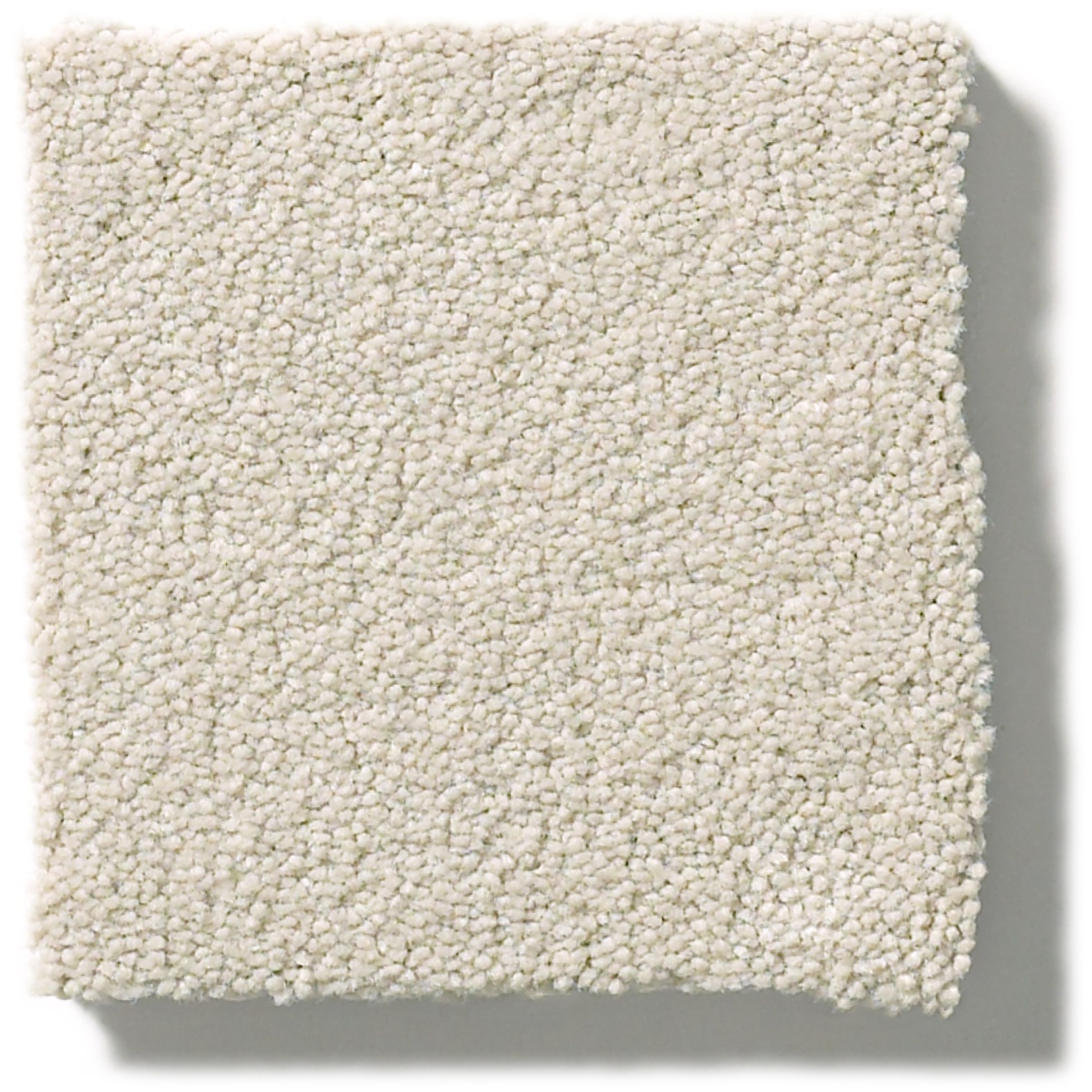 PERFECT CHOICE MISTY DAWN SWATCH