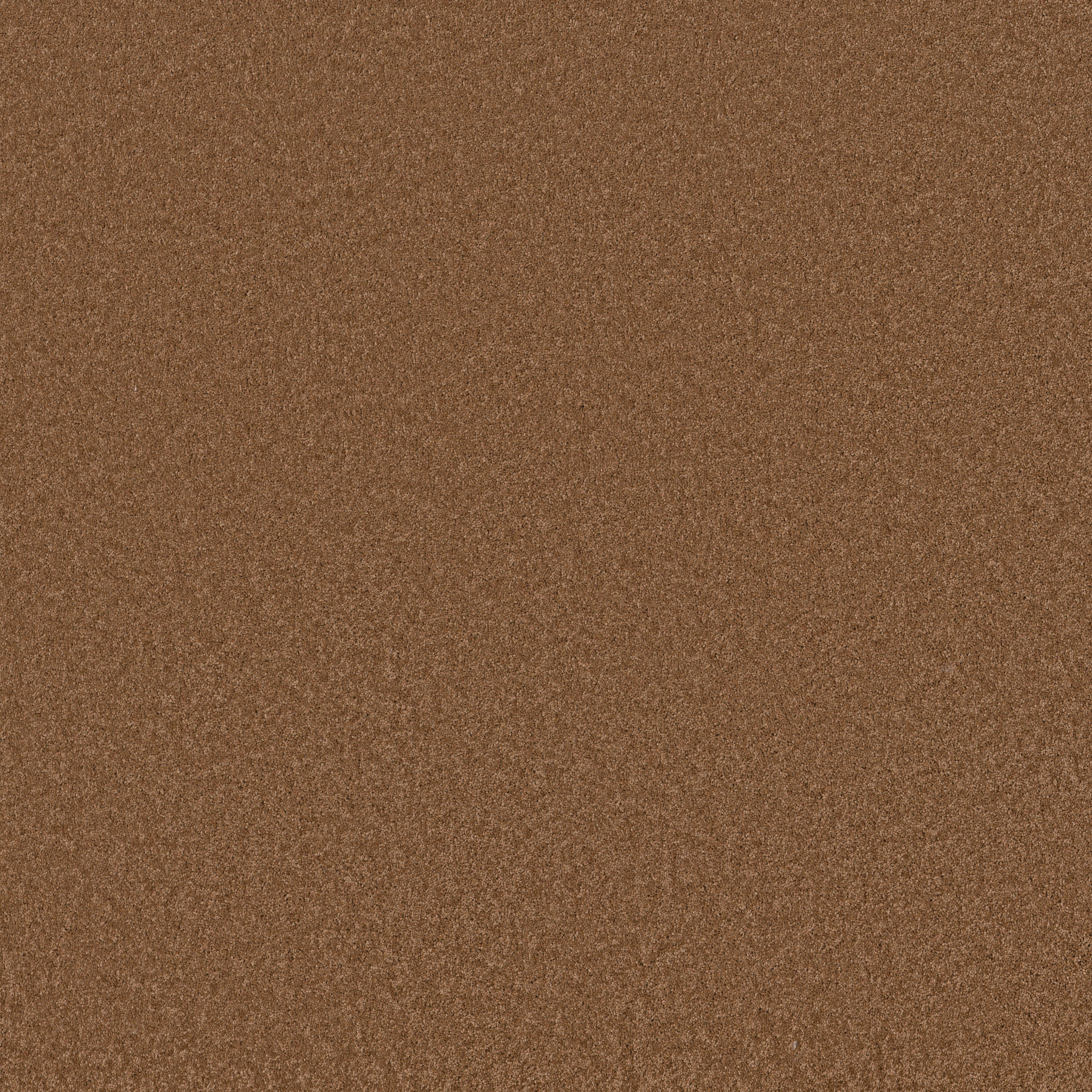 ENCHANTING AUTUMN GLAZE MAIN