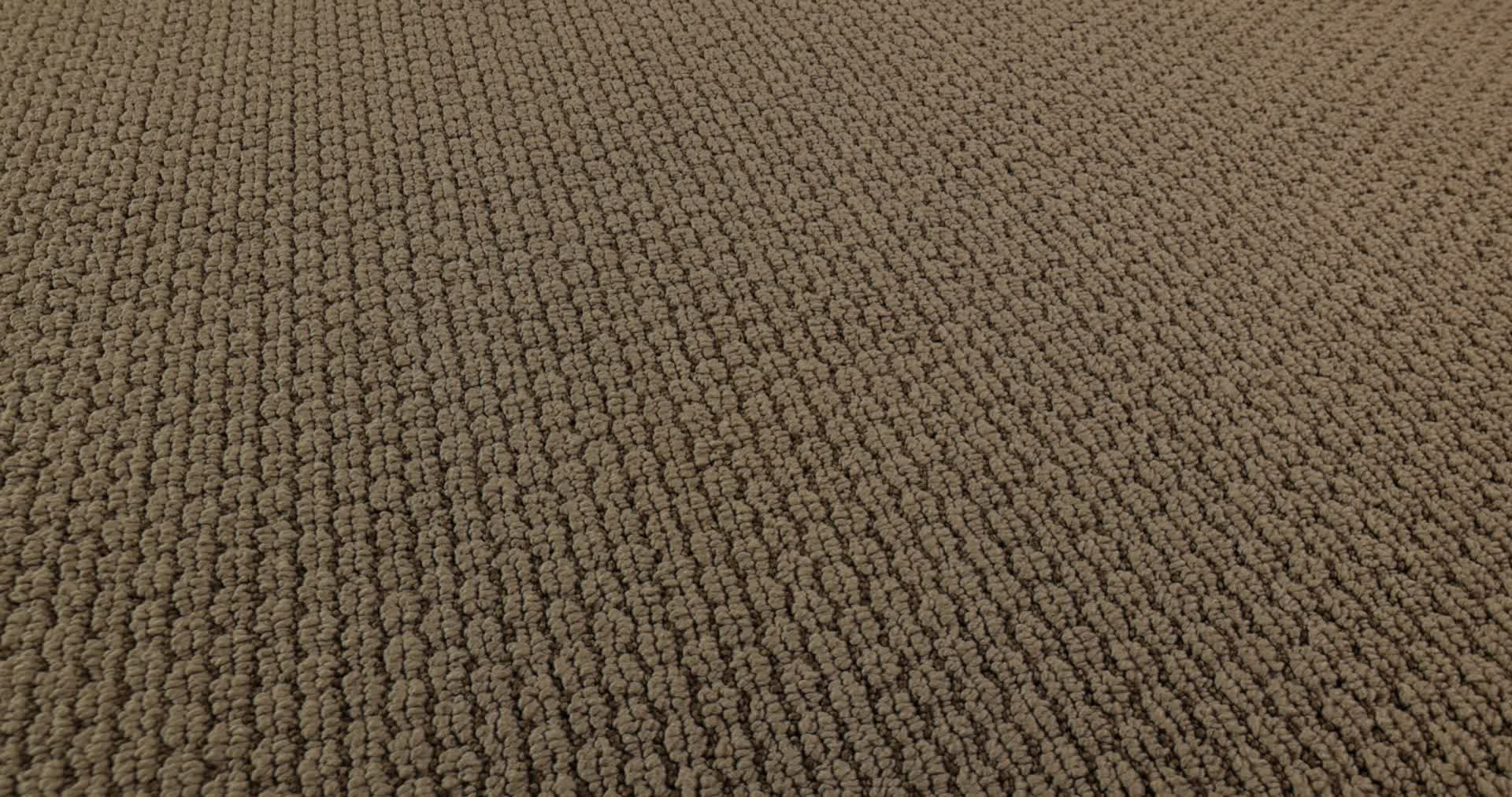 AG In The Loop DOGWOOD 360PROD