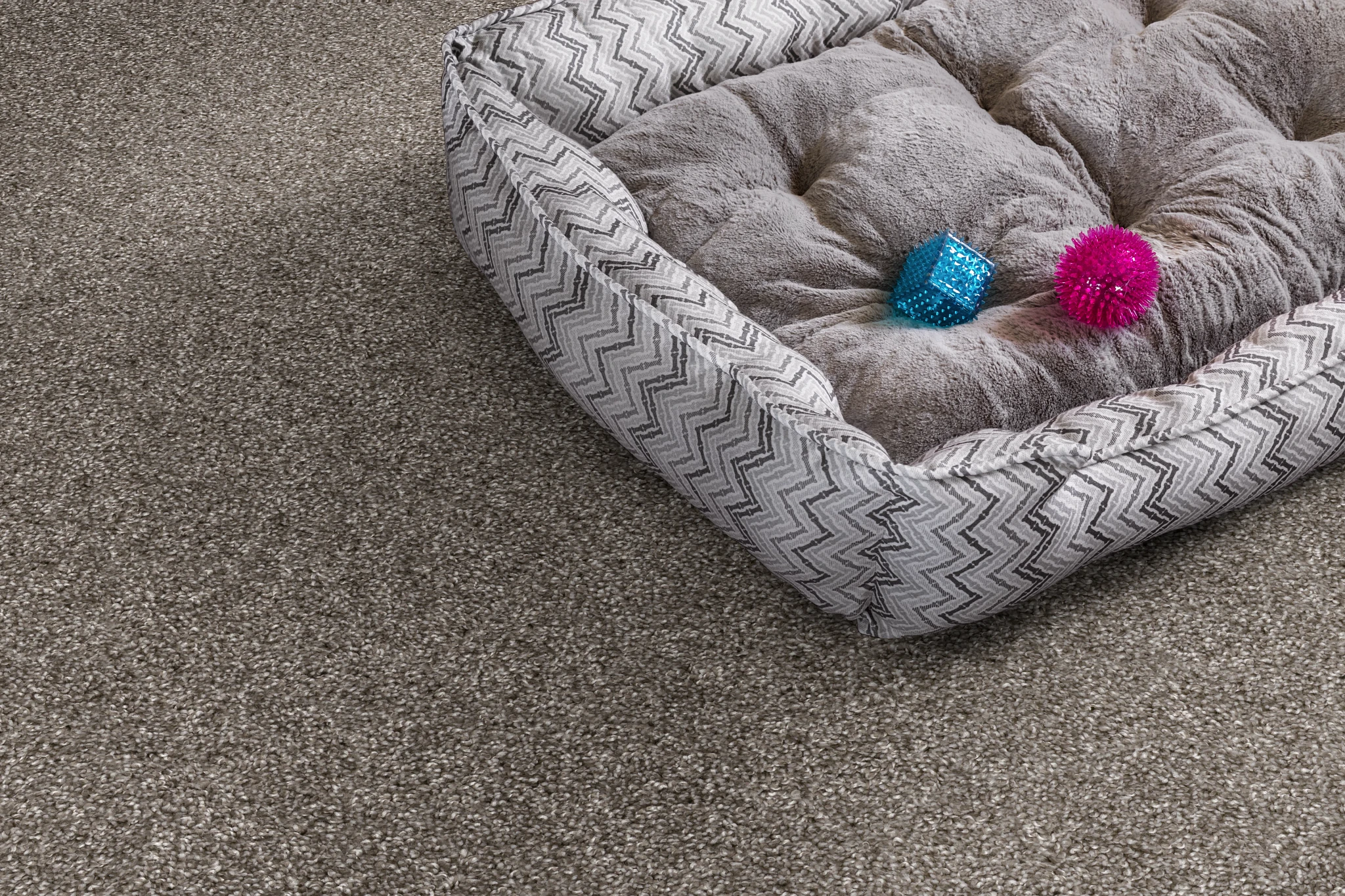 Cozy pet bed on soft, durable carpet flooring with a textured gray and white pattern
