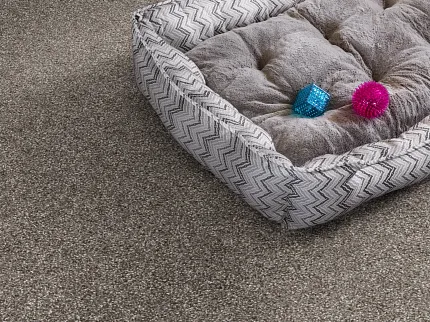 Comfortable and durable carpet flooring for everyday home comfort Cozy pet bed on soft, durable carpet flooring with a textured gray and white pattern