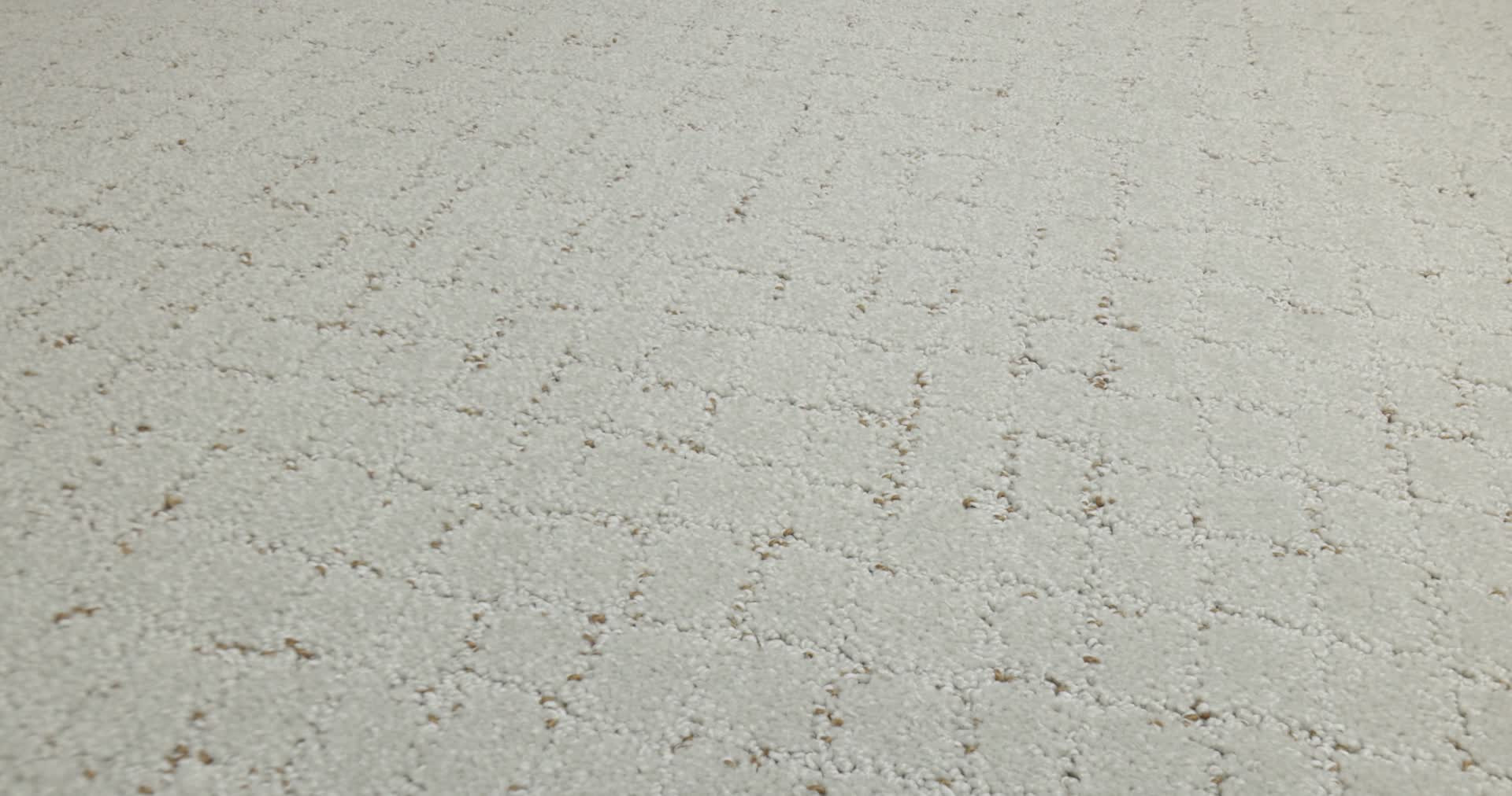 BLOCK PARTY CASHMERE 360PROD