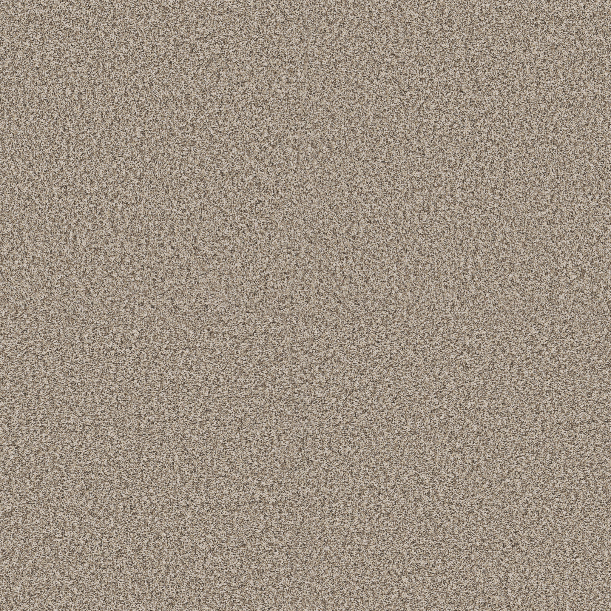 Renewed Energy I SANDSTONE MAIN