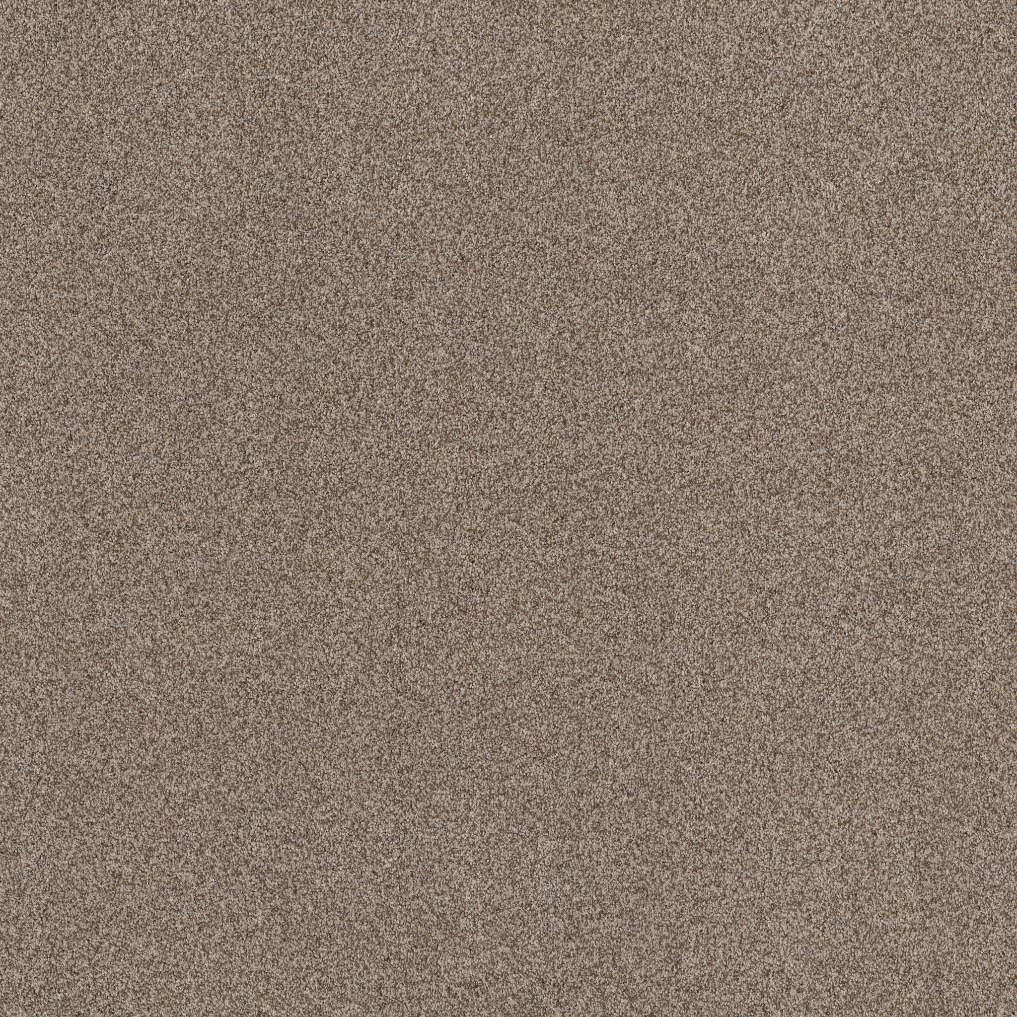 BOSSA NOVA ROASTED MAIN