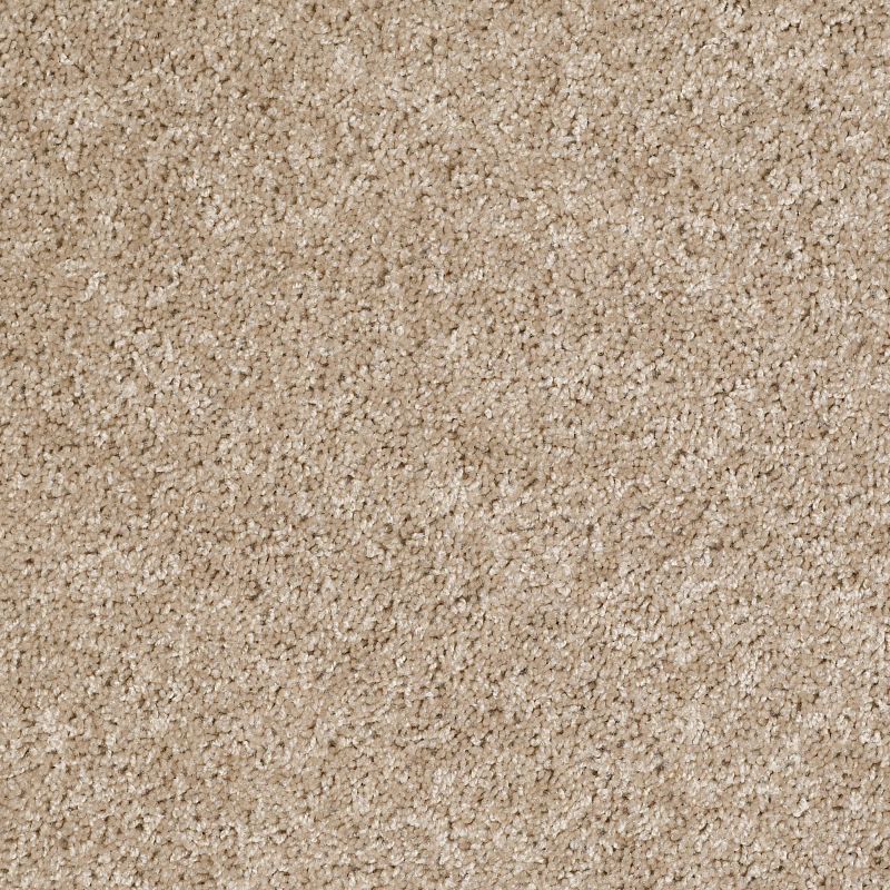 E0819 Broadloom Carpet in Pewter Solid color, 100% Nylon, 12ft wide, Shaw Floors