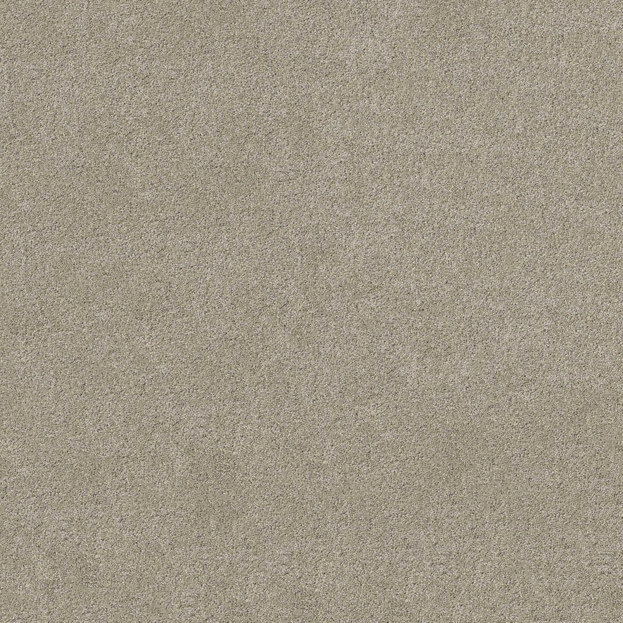 SALINA I SILVER LEAF MAIN