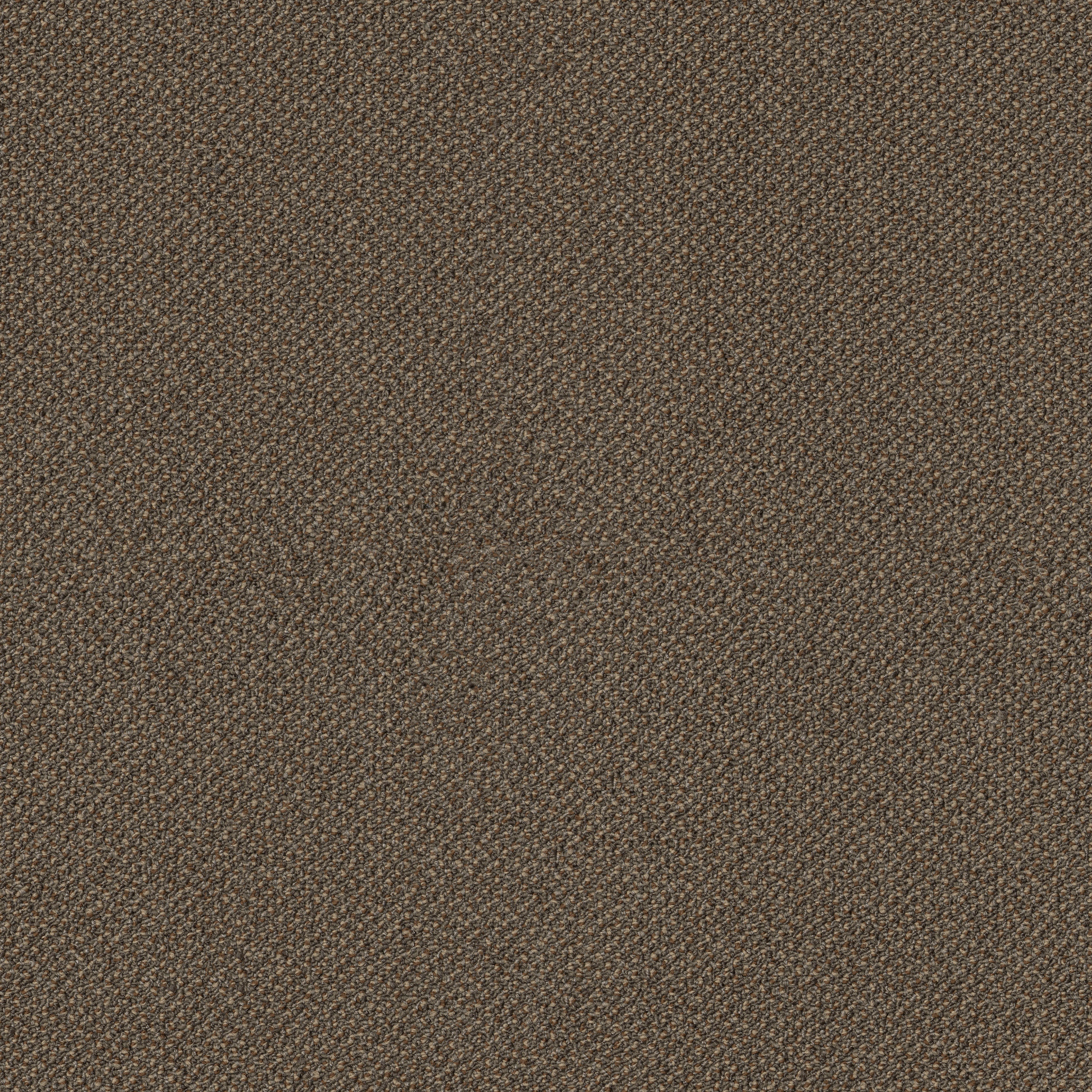 SMALL-WONDER-54984-SPECIAL-84205-main-image