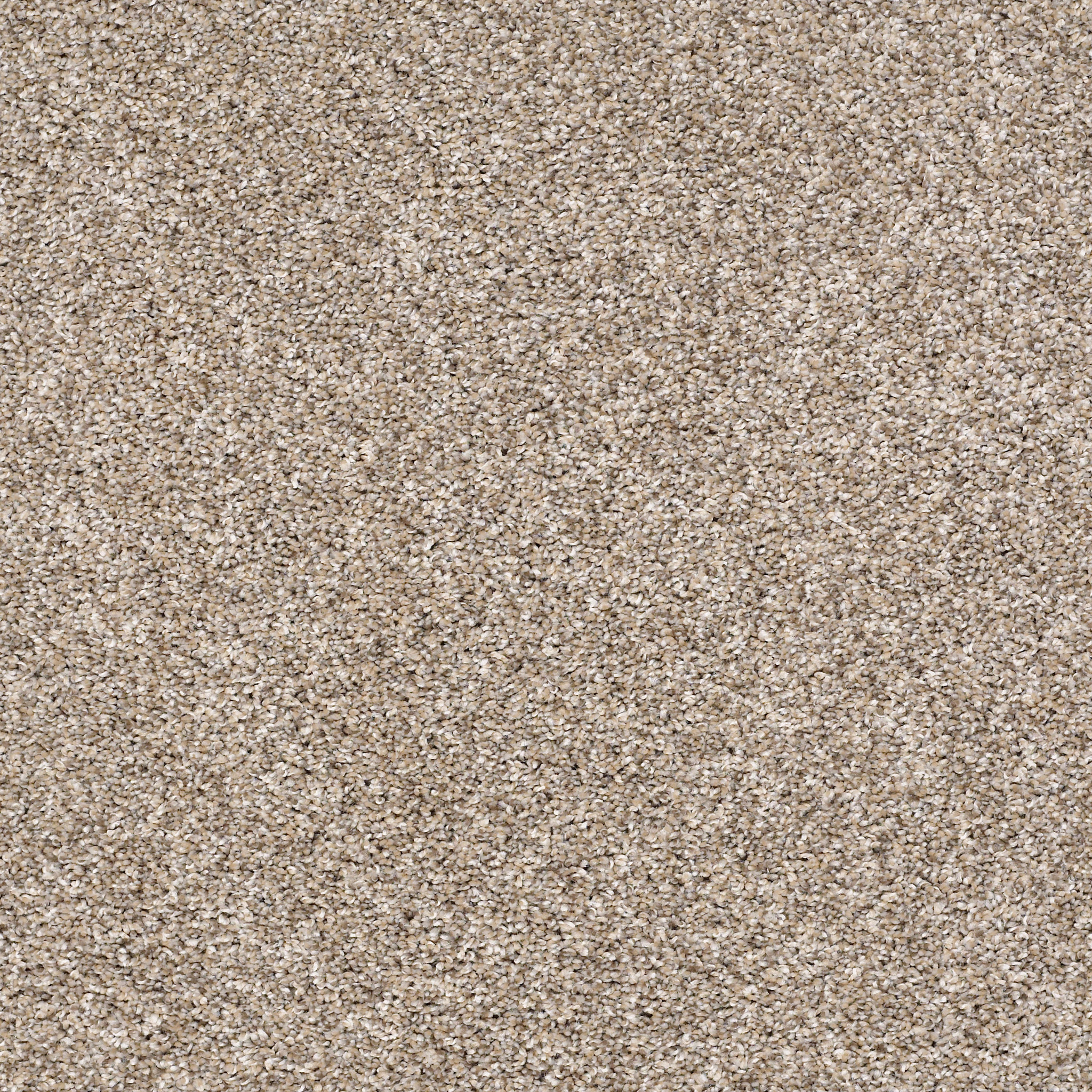 AFTER IT I NEUTRAL GROUND MAIN