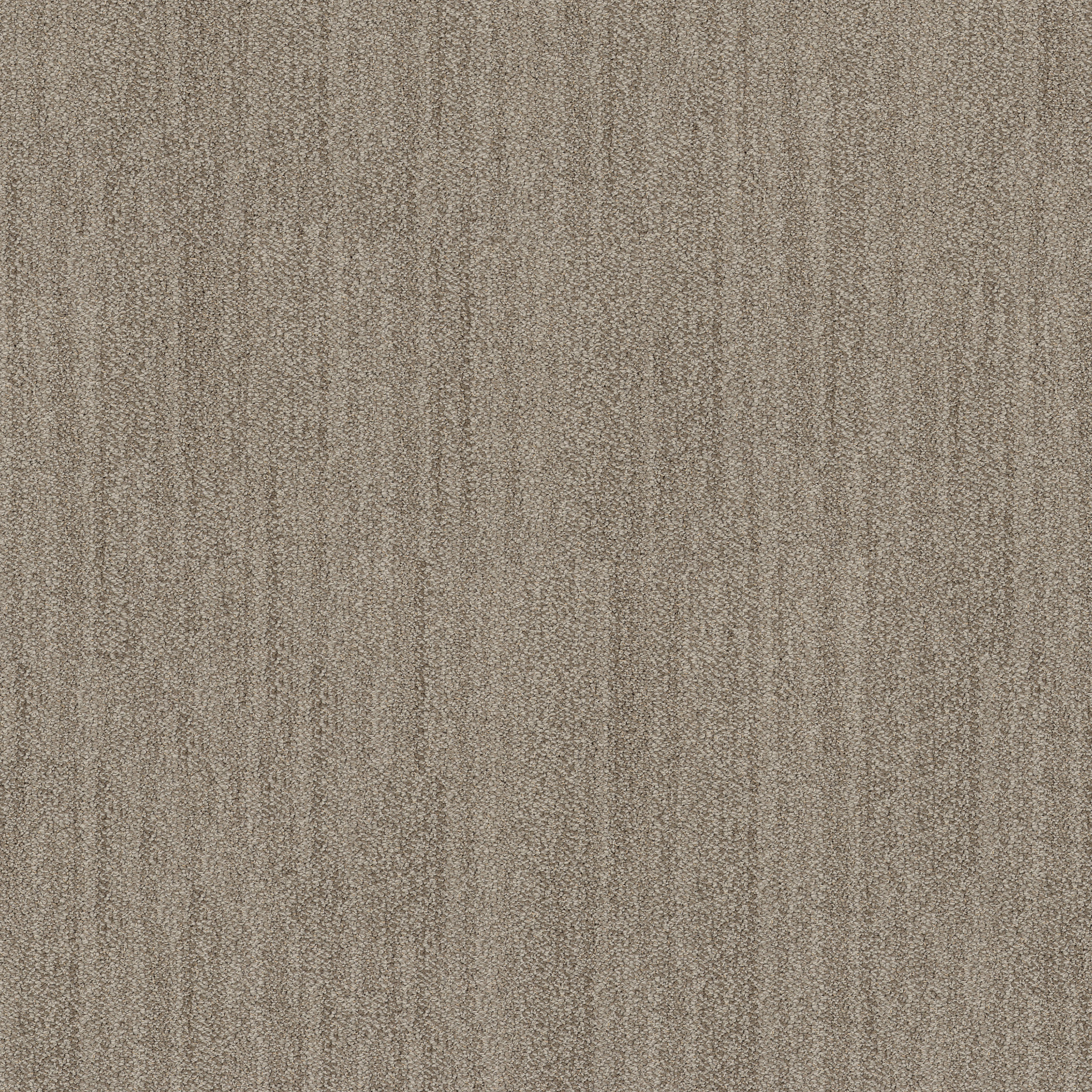 IN TEMPO DRIFTWOOD MAIN