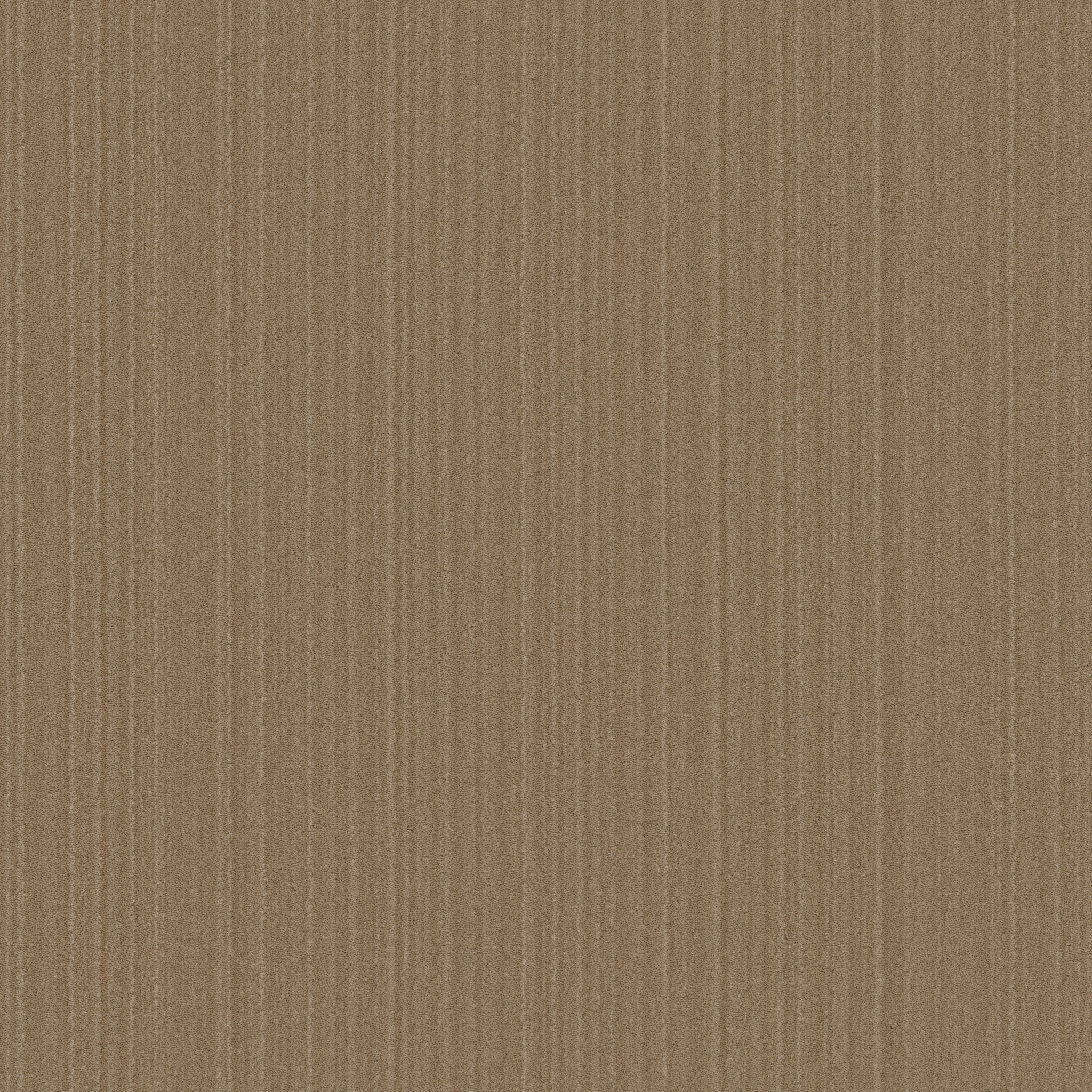 MAGNIFIQUE PALACE MAIN