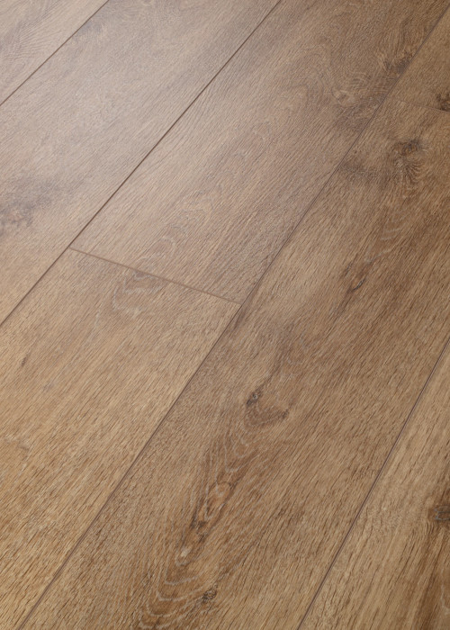 Lyric Oak