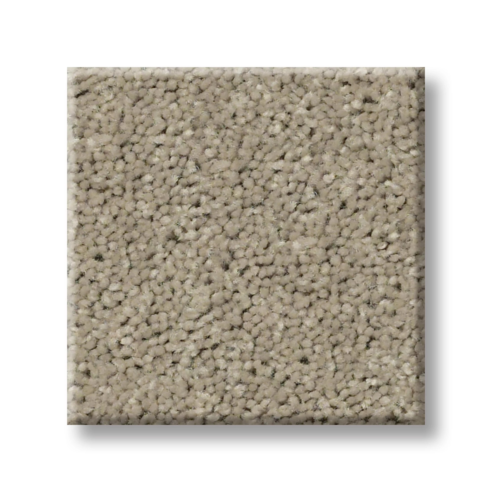CABANA BAY SOLID SHIFTING SAND SWATCH