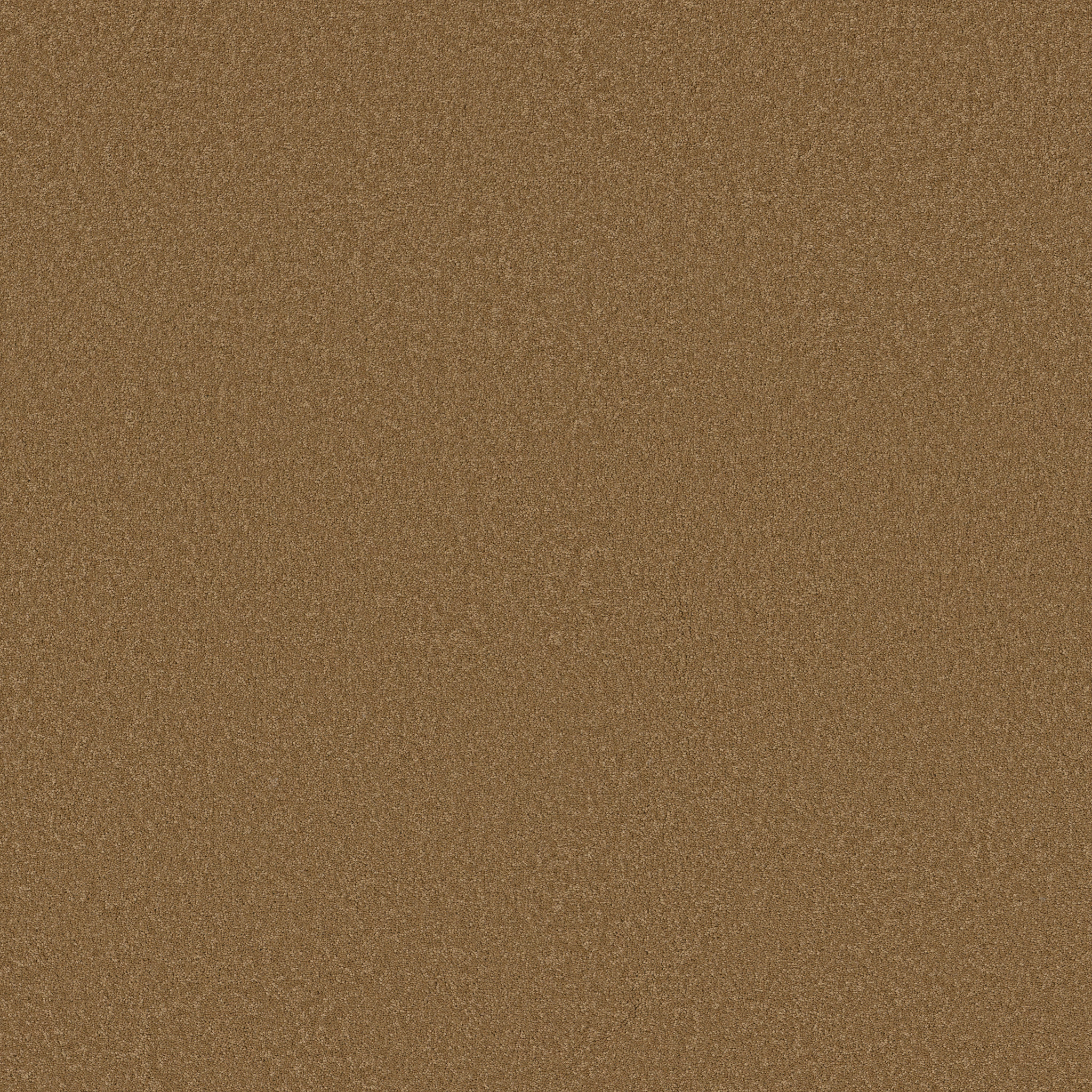 TIMELESS APPEAL III 12' PEANUT BRITTLE MAIN