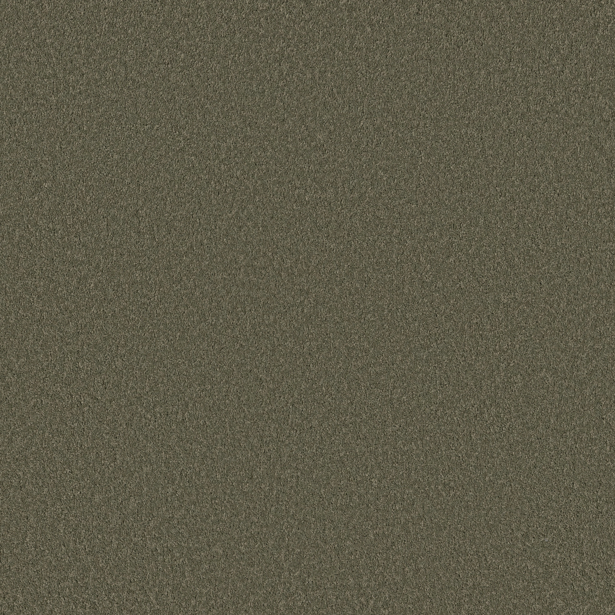 VELVET TOUCH I REROOTED NATURE MAIN