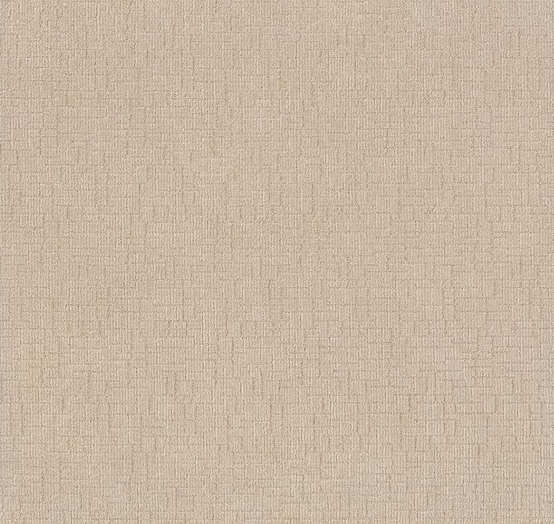 Wayfarer ZZ225 Broadloom Carpet in Sage, 100% Nylon, 12ft wide, 150ft roll