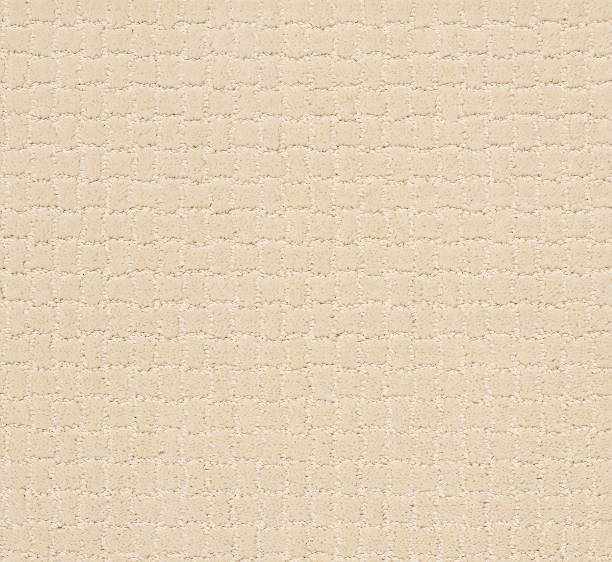 PAWSTRUCK ANTIQUITY MAIN