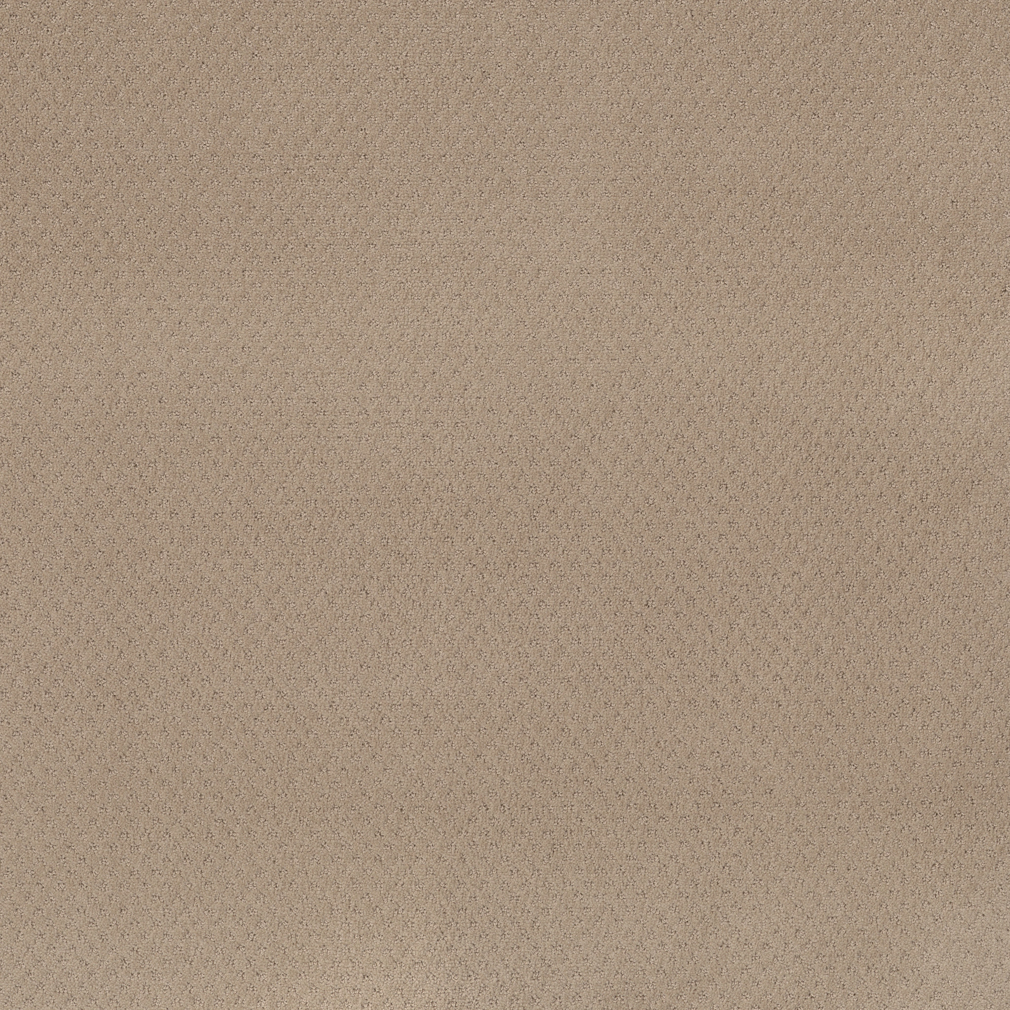 DEL VISTA TERRAZO MAIN