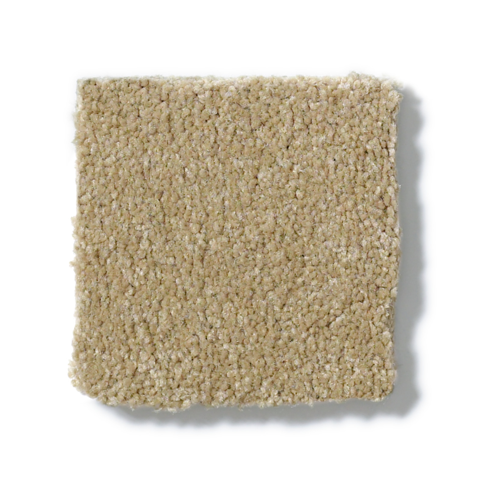 SANDY HOLLOW CLASSIC III 12' SAHARA SWATCH