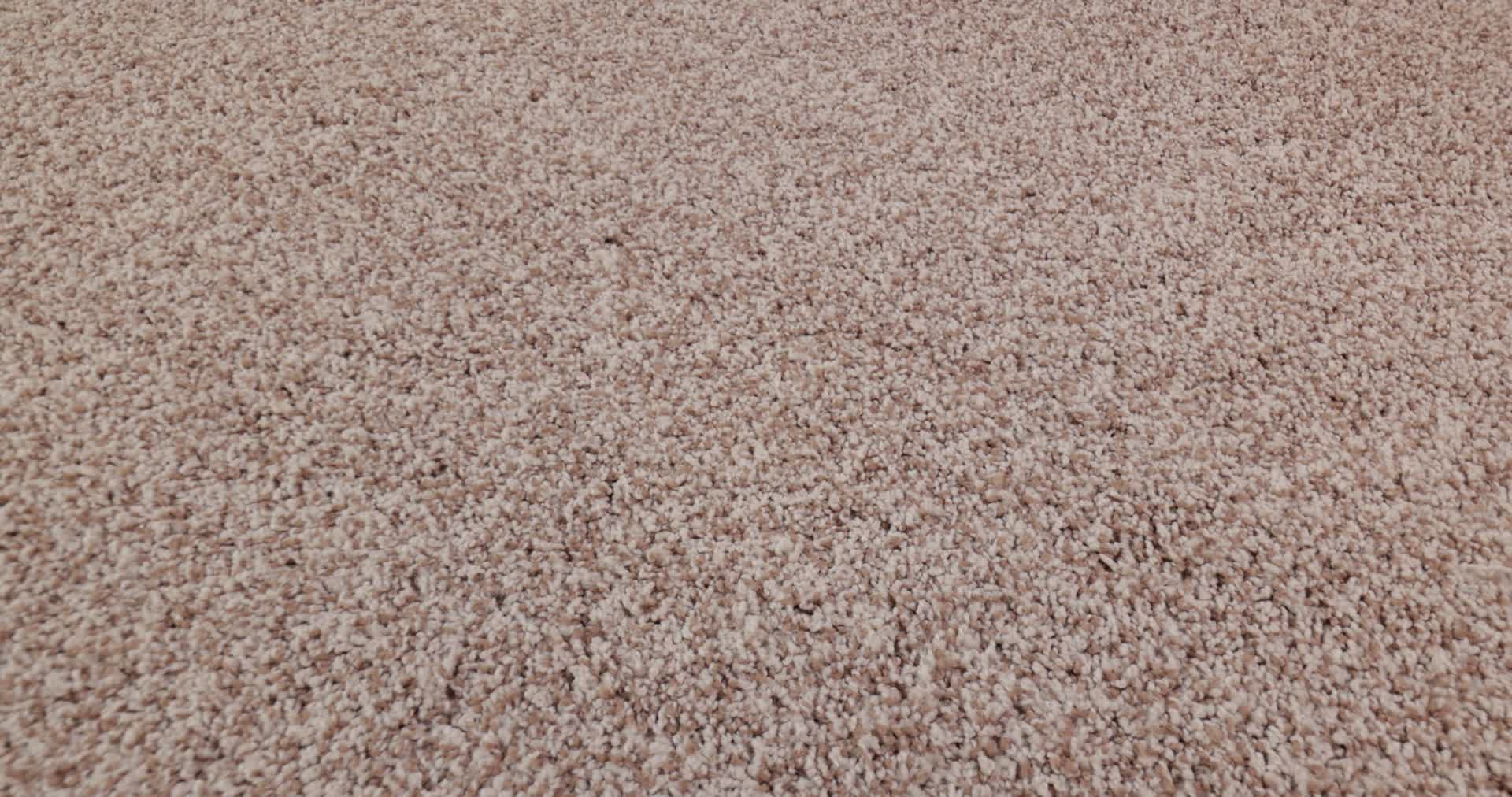 BELLA NOVA FLORA 360PROD