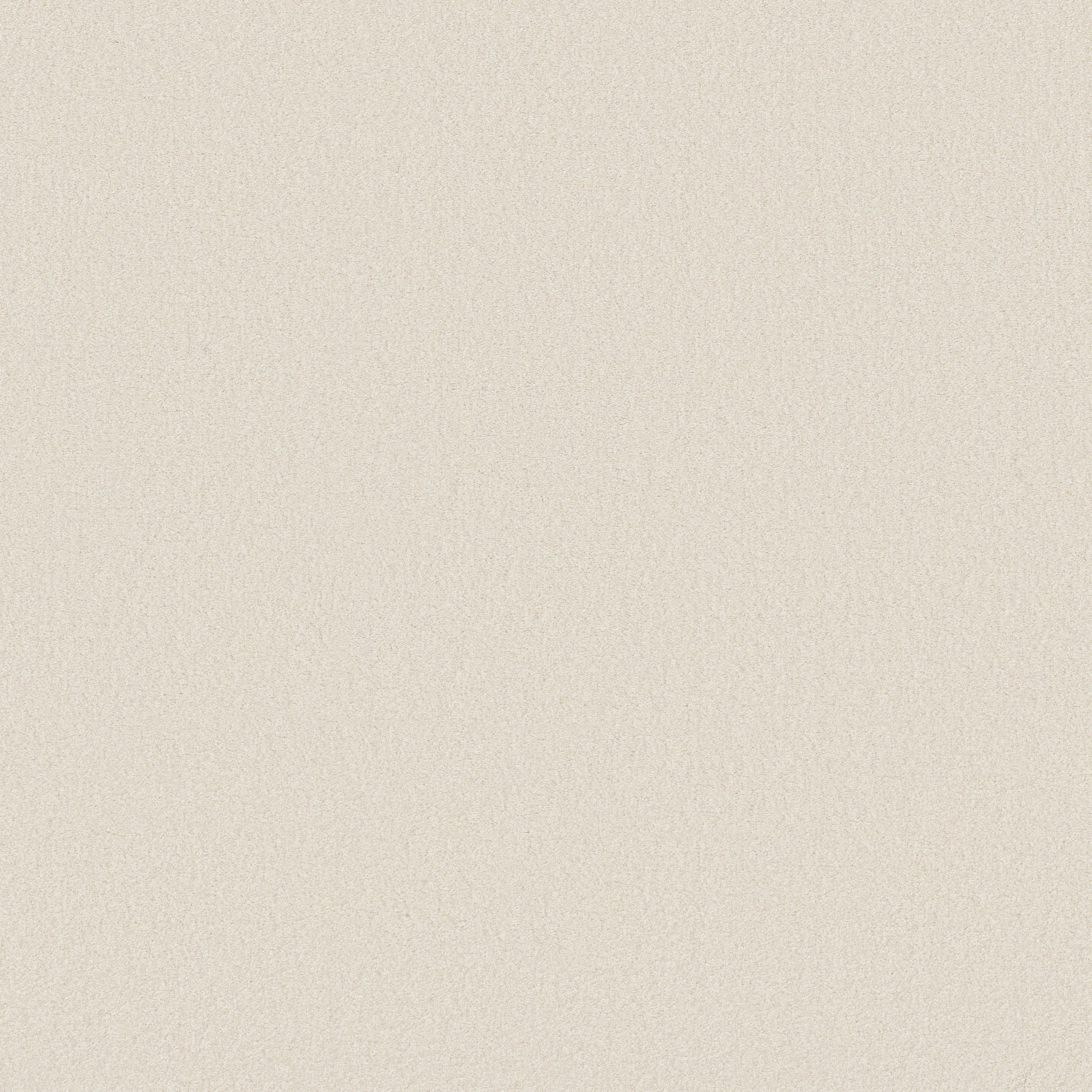 SHINGLE CREEK IV 12' SWEET CREAM MAIN