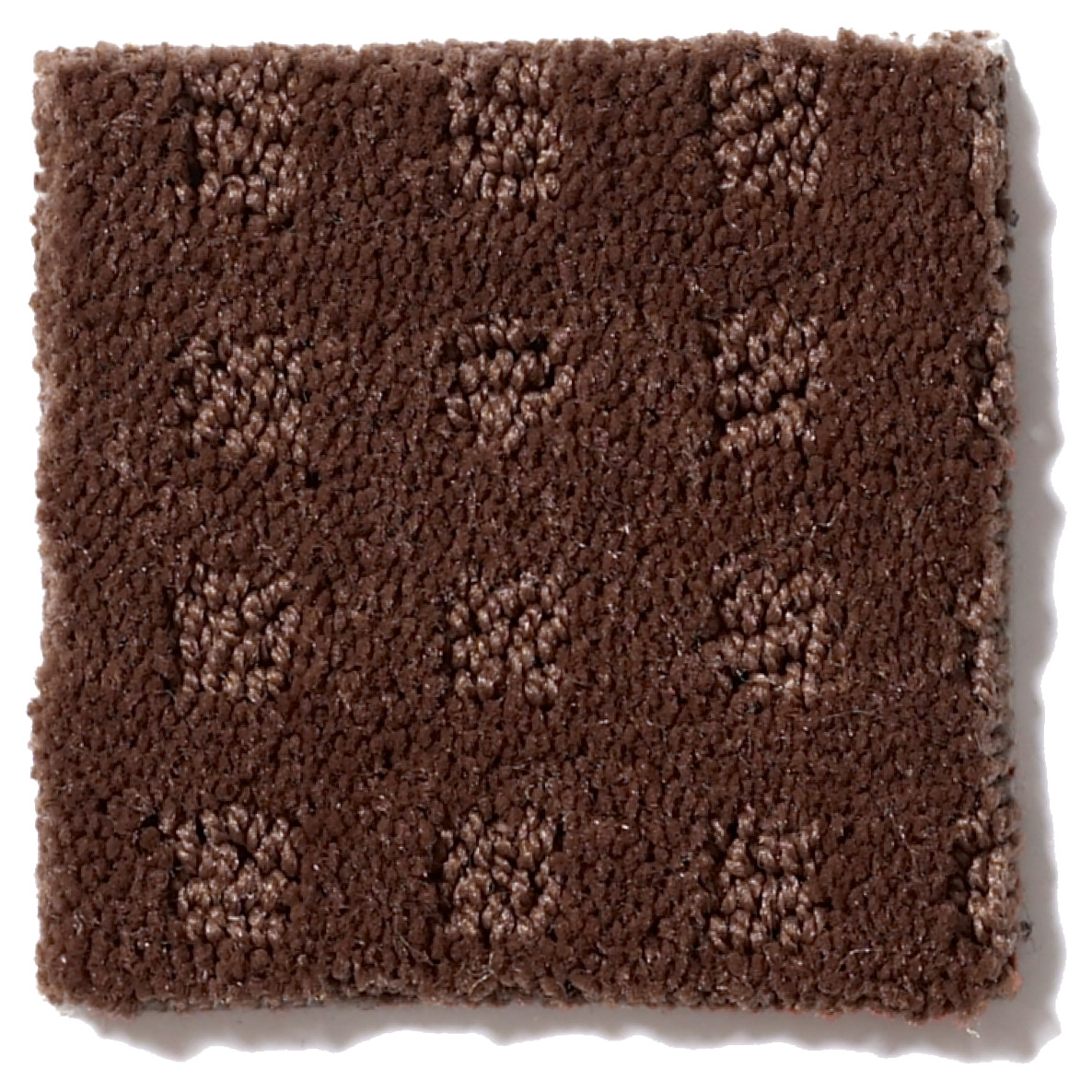 STYLE WITH EASE TREE BARK SWATCH