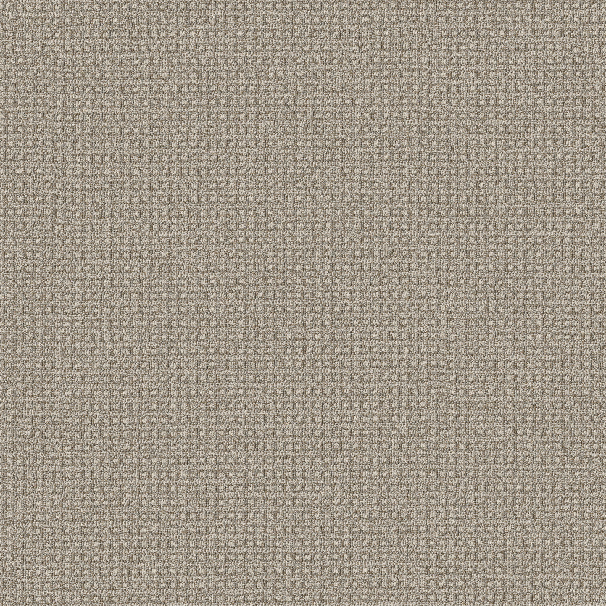 FETCH BRIARWOOD MAIN