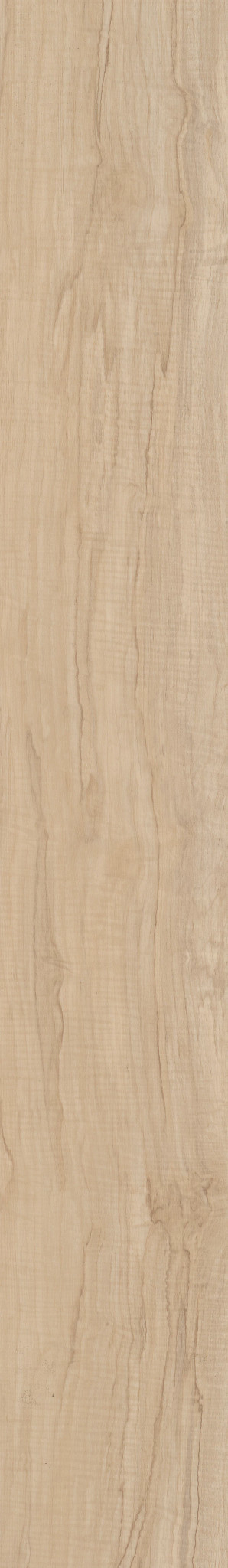 Spalted Maple