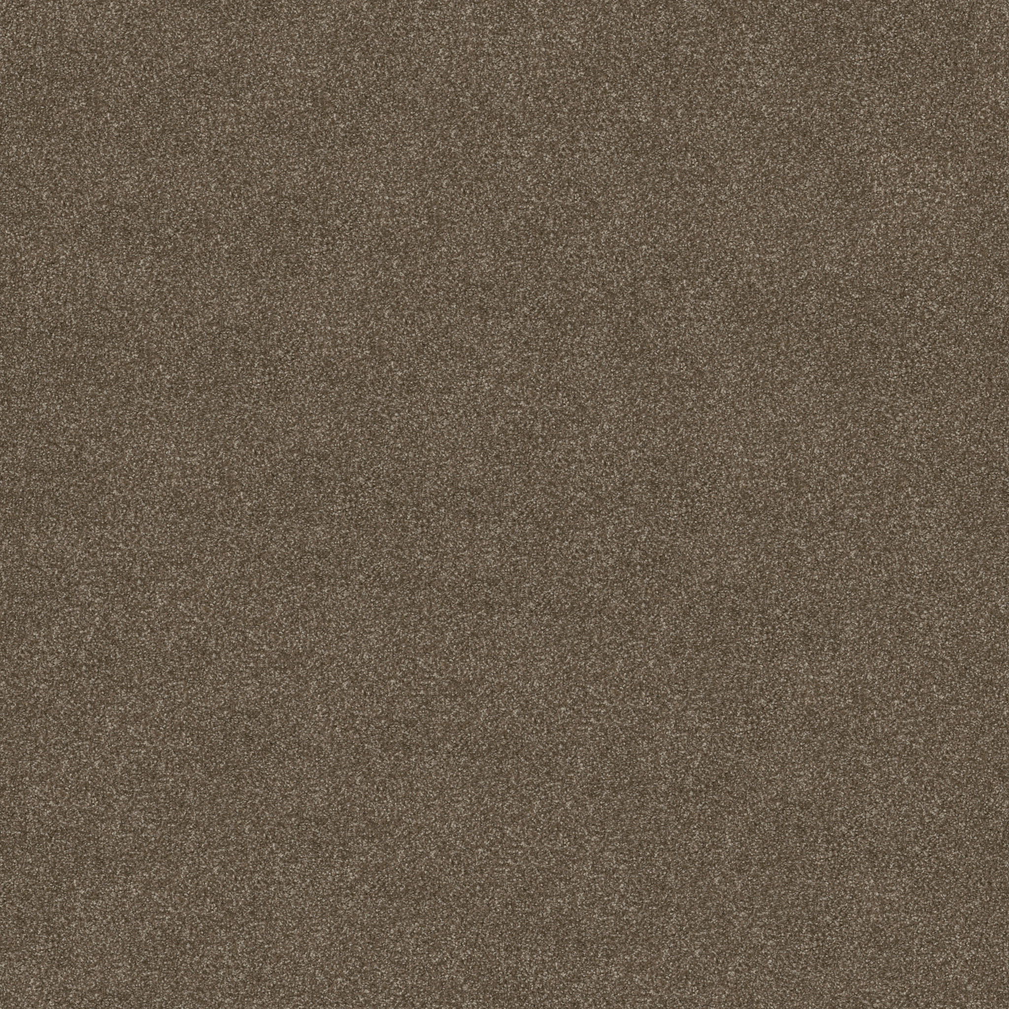 MAJORITY RULES SADDLE MAIN