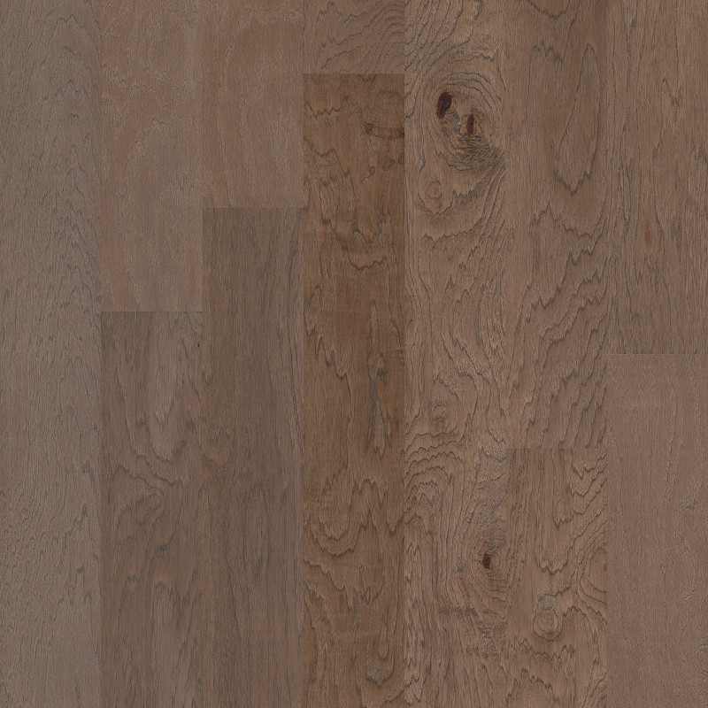 ALPINE HICKORY in Morningside by Shaw Floors