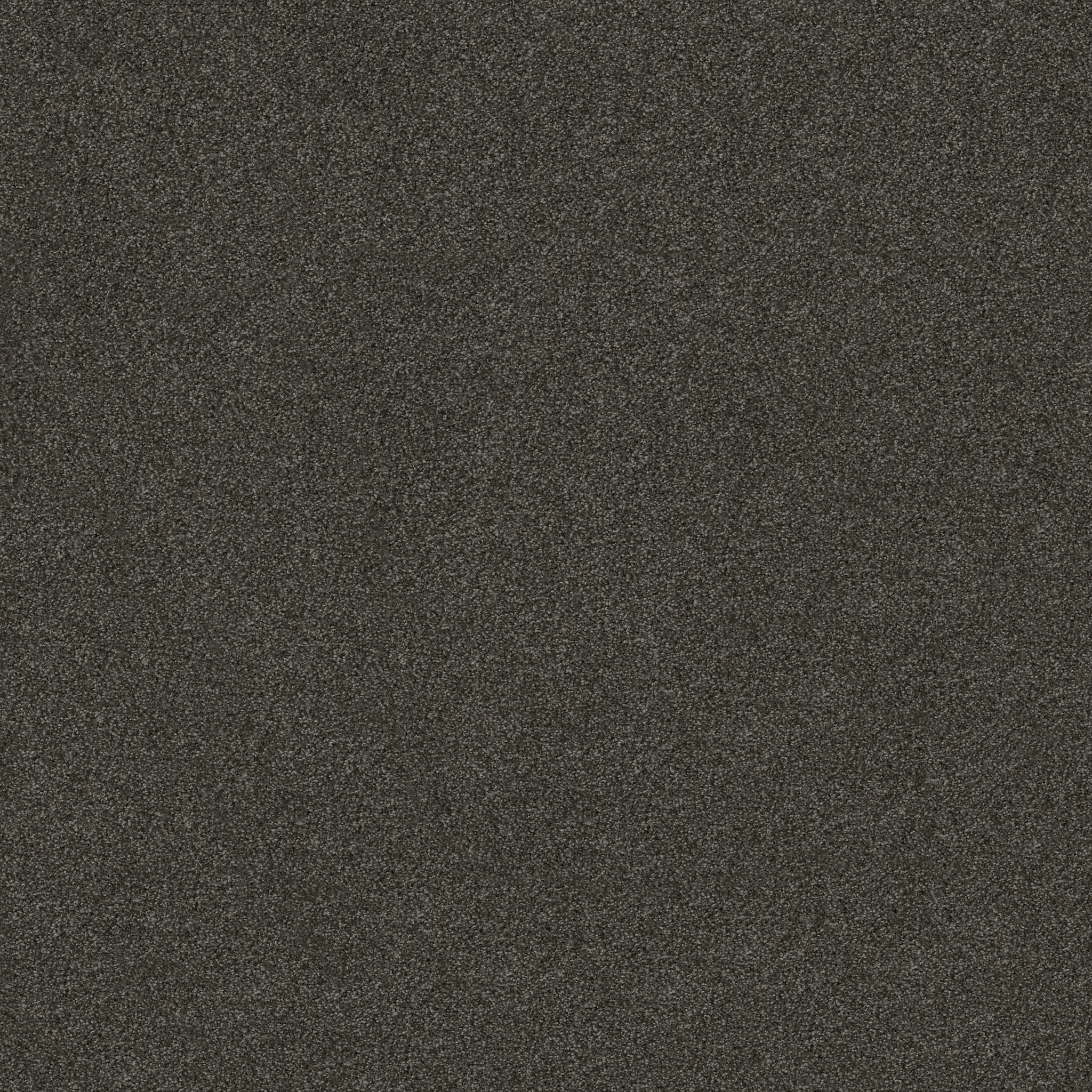 LOOK FORWARD RICH EARTH MAIN