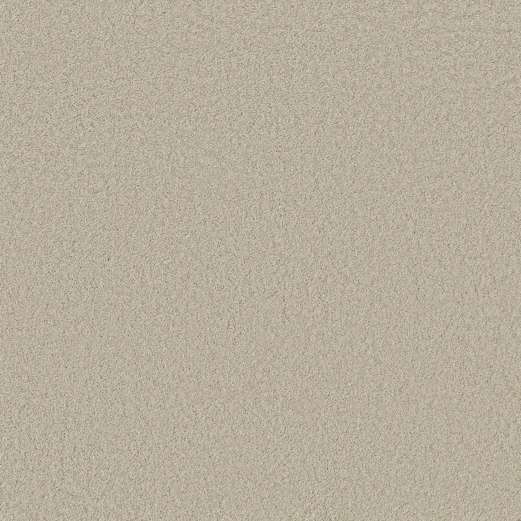 ENCHANTING ALOE WASH MAIN